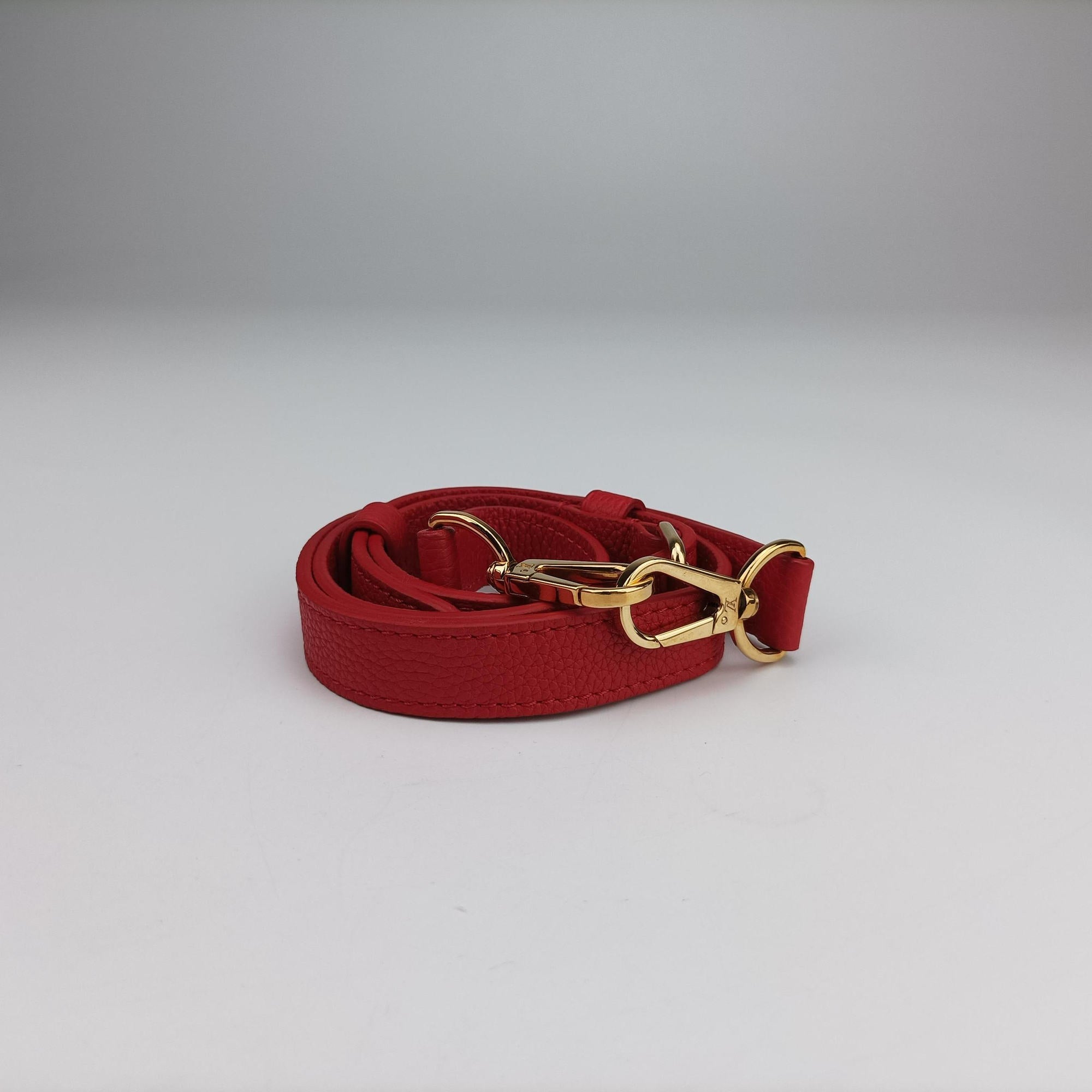 Pre-owned Louis Vuitton DOUBLE V ruby Monogram Canvas ácalf leather M54624 shoulderbag | stylenewstar