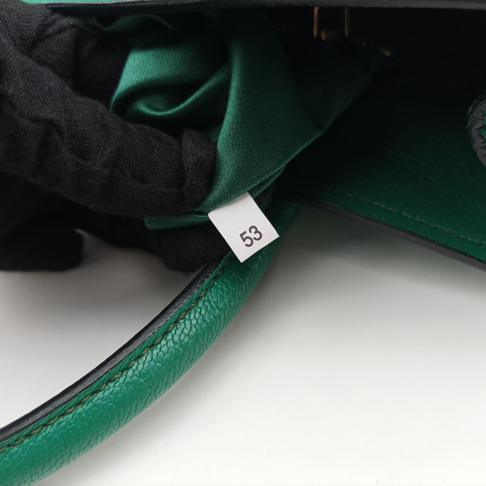 Pre-owned Miu Miu Vitello Caribu Green Leather RN0620 handbag | stylenewstar