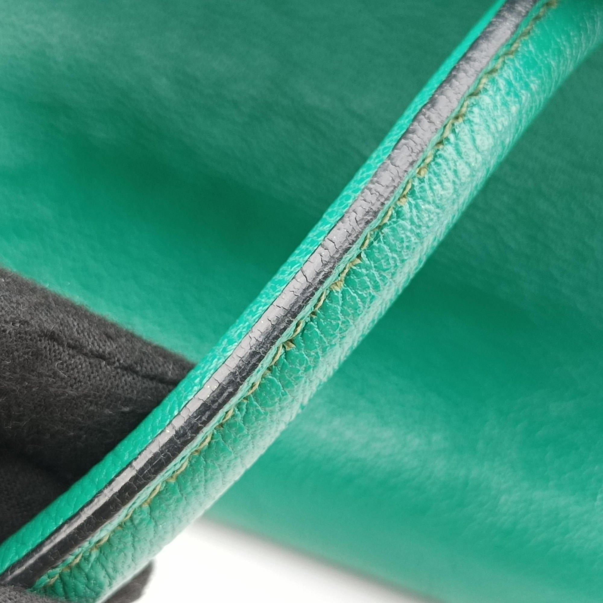 Pre-owned Miu Miu Vitello Caribu Green Leather RN0620 handbag | stylenewstar