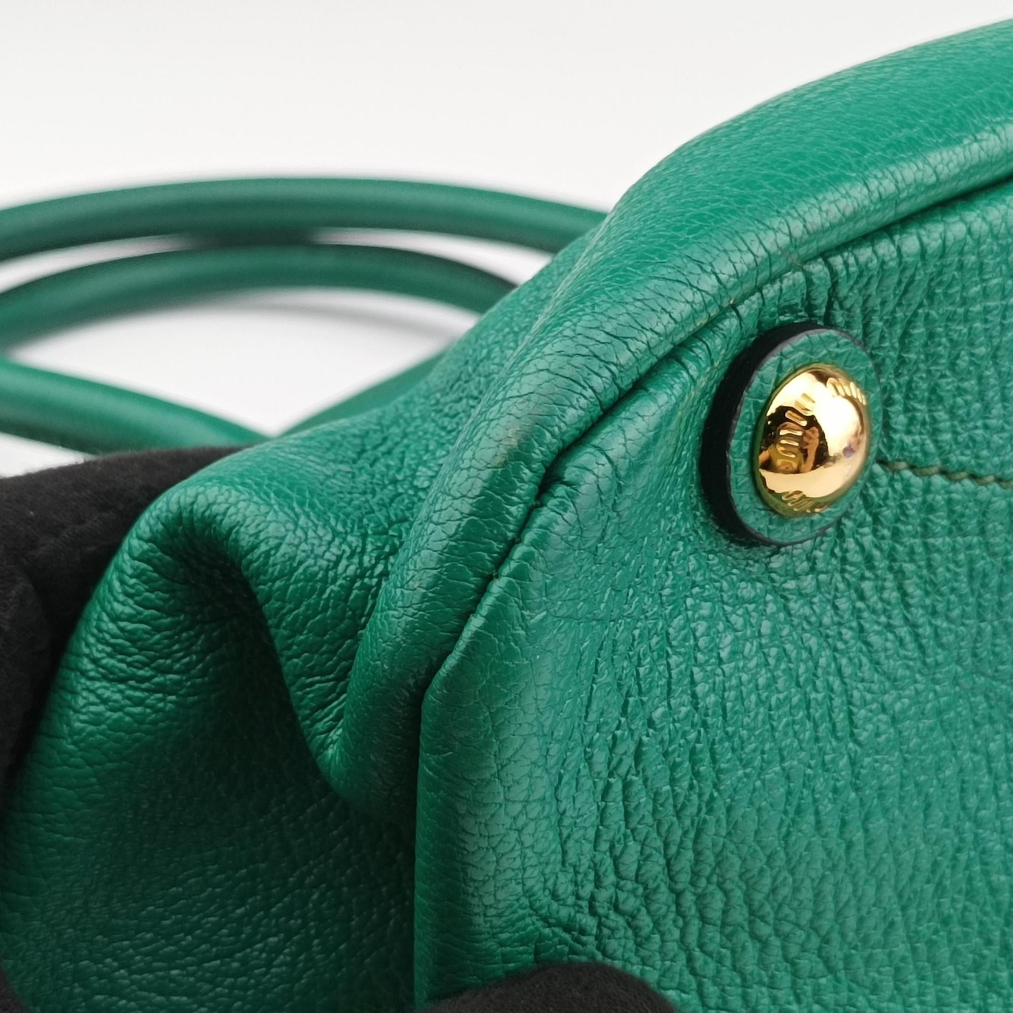 Pre-owned Miu Miu Vitello Caribu Green Leather RN0620 handbag | stylenewstar
