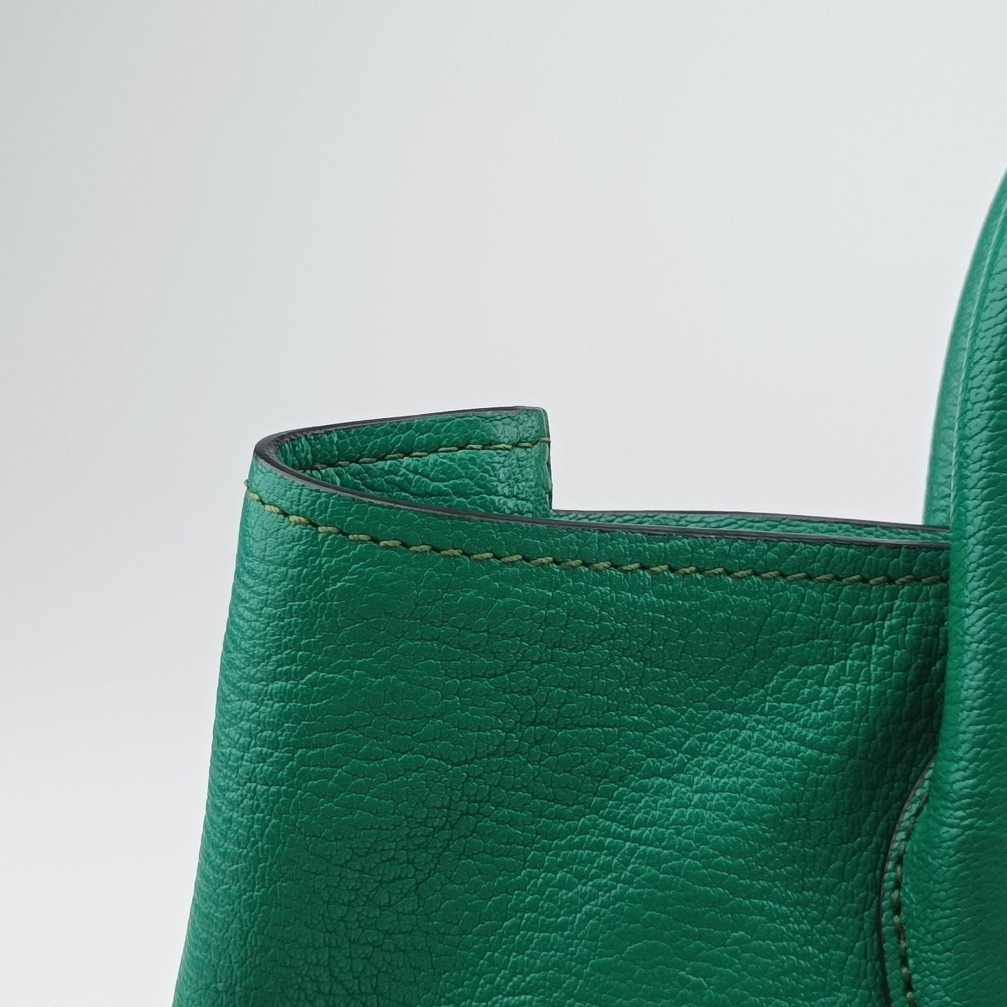 Pre-owned Miu Miu Vitello Caribu Green Leather RN0620 handbag | stylenewstar