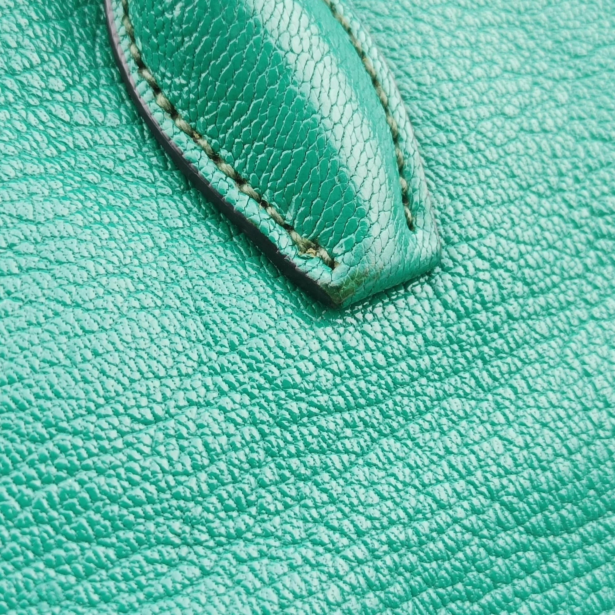 Pre-owned Miu Miu Vitello Caribu Green Leather RN0620 handbag | stylenewstar