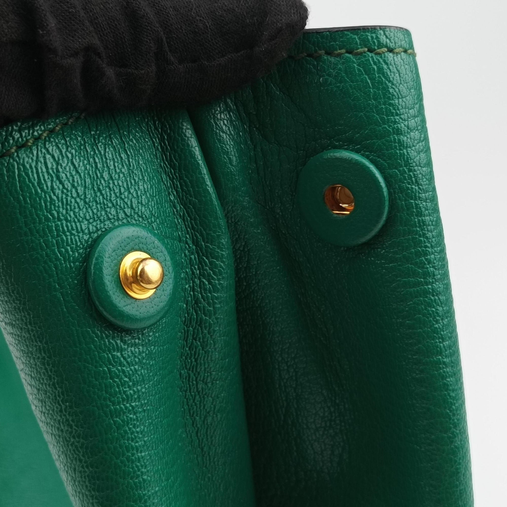 Pre-owned Miu Miu Vitello Caribu Green Leather RN0620 handbag | stylenewstar