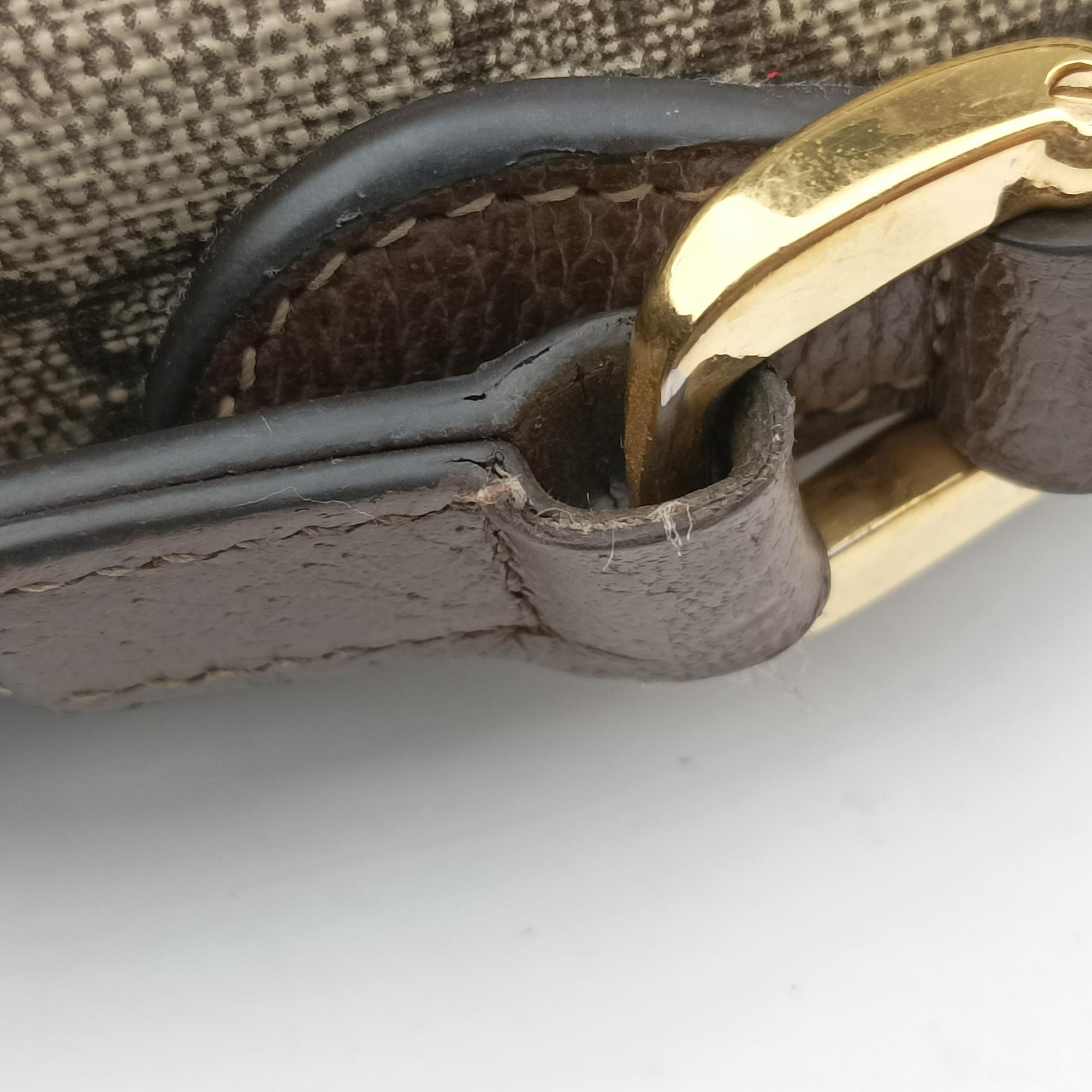 Pre-owned Gucci OPHIDIA Brown×red×green PVC coated canvas×leather 517350 shoulderbag | stylenewstar