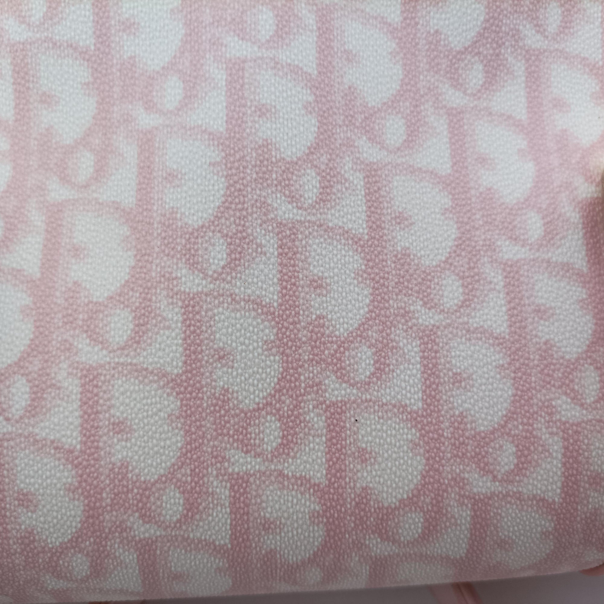 Pre-owned Christian Dior Romantic Trotter Pink pvc coated canvas×Leather  shoulderbag | stylenewstar