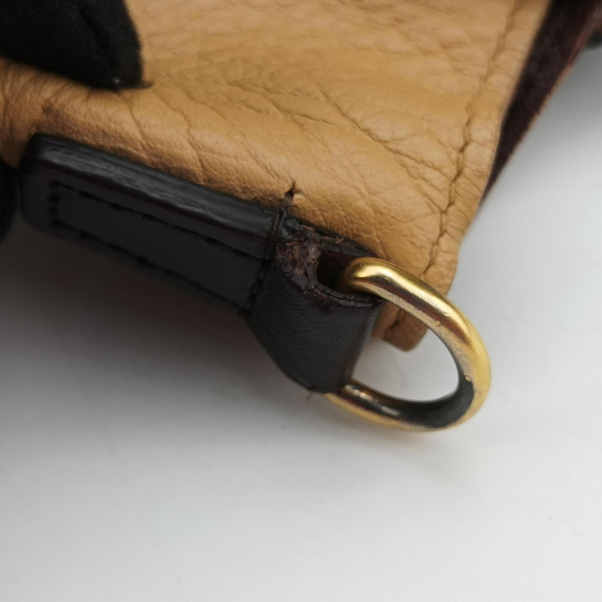 Secondhand Celine luggage nano shopper Pink beige×brown×black Leather  shoulderbag | stylenewstar