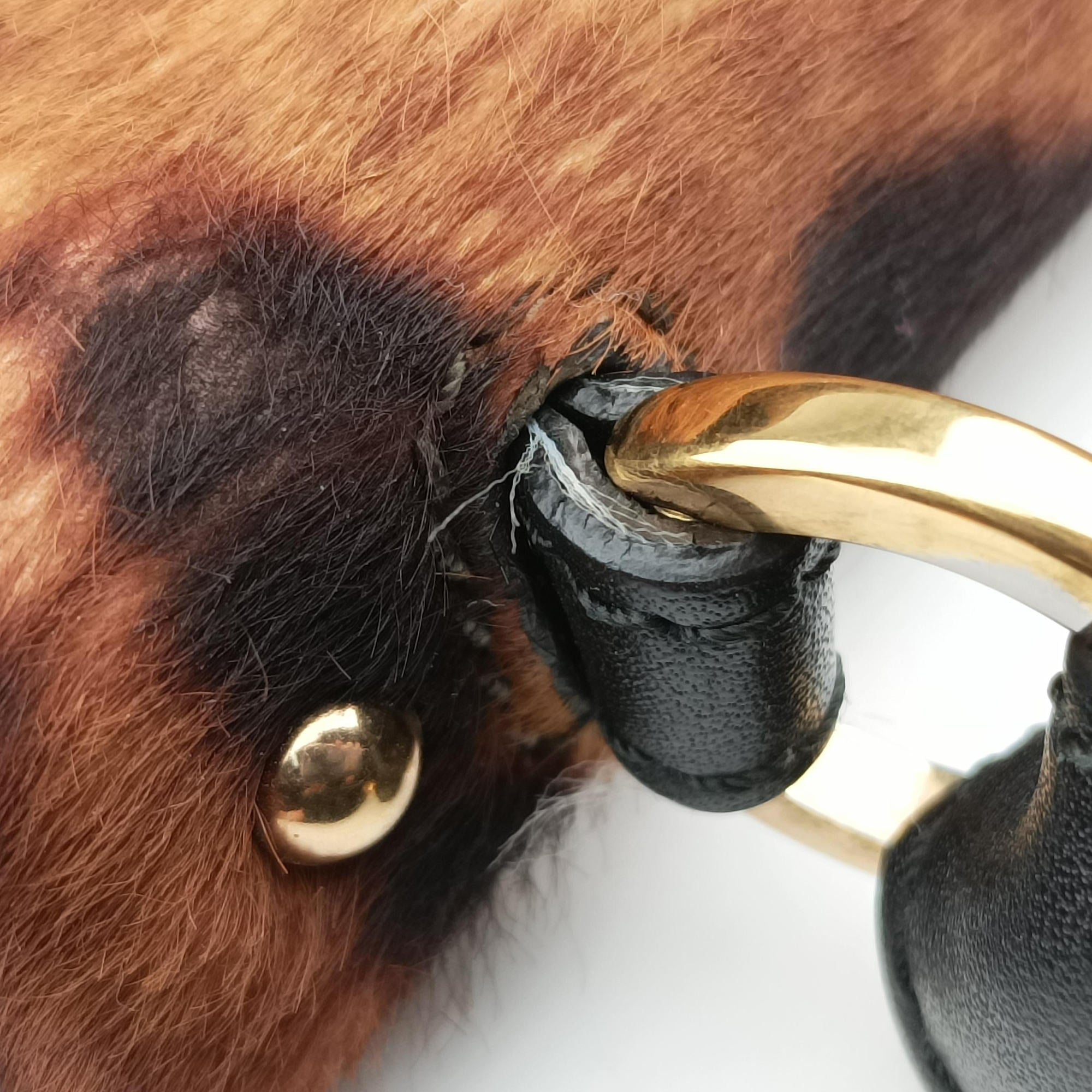 Pre-owned Ferragamo Sofia Gancini Leopard Print × Black ponyhair×leather  handbag | stylenewstar