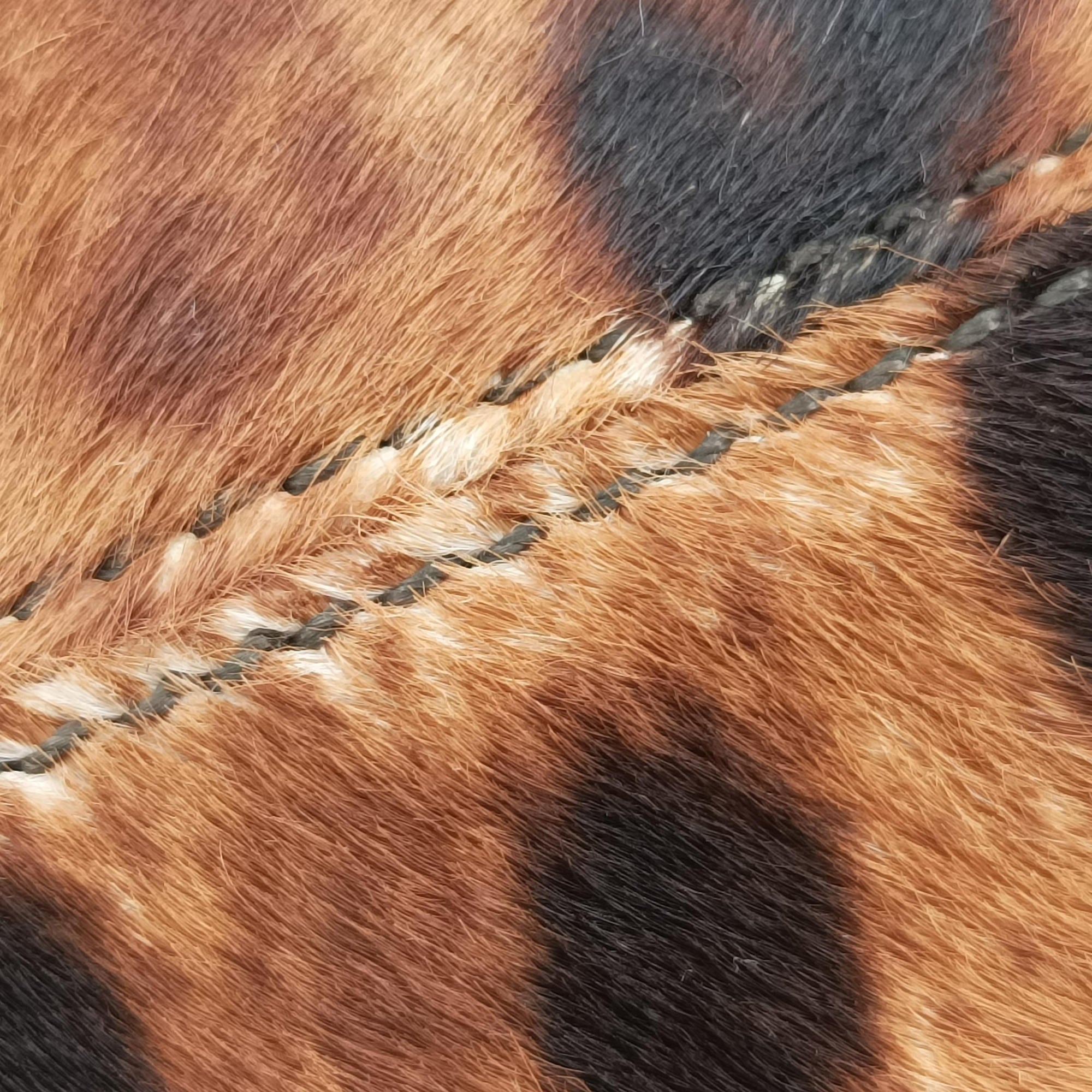 Pre-owned Ferragamo Sofia Gancini Leopard Print × Black ponyhair×leather  handbag | stylenewstar