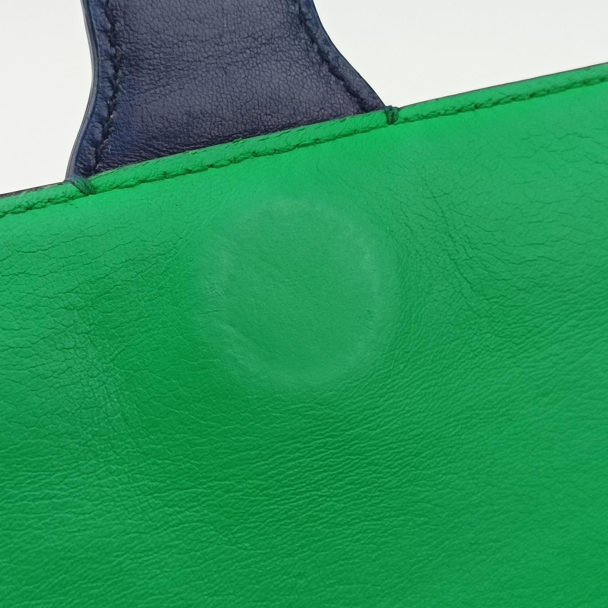 Vintage Bottega Veneta intrecciato Green Leather x Snake skin  shoulderbag | stylenewstar