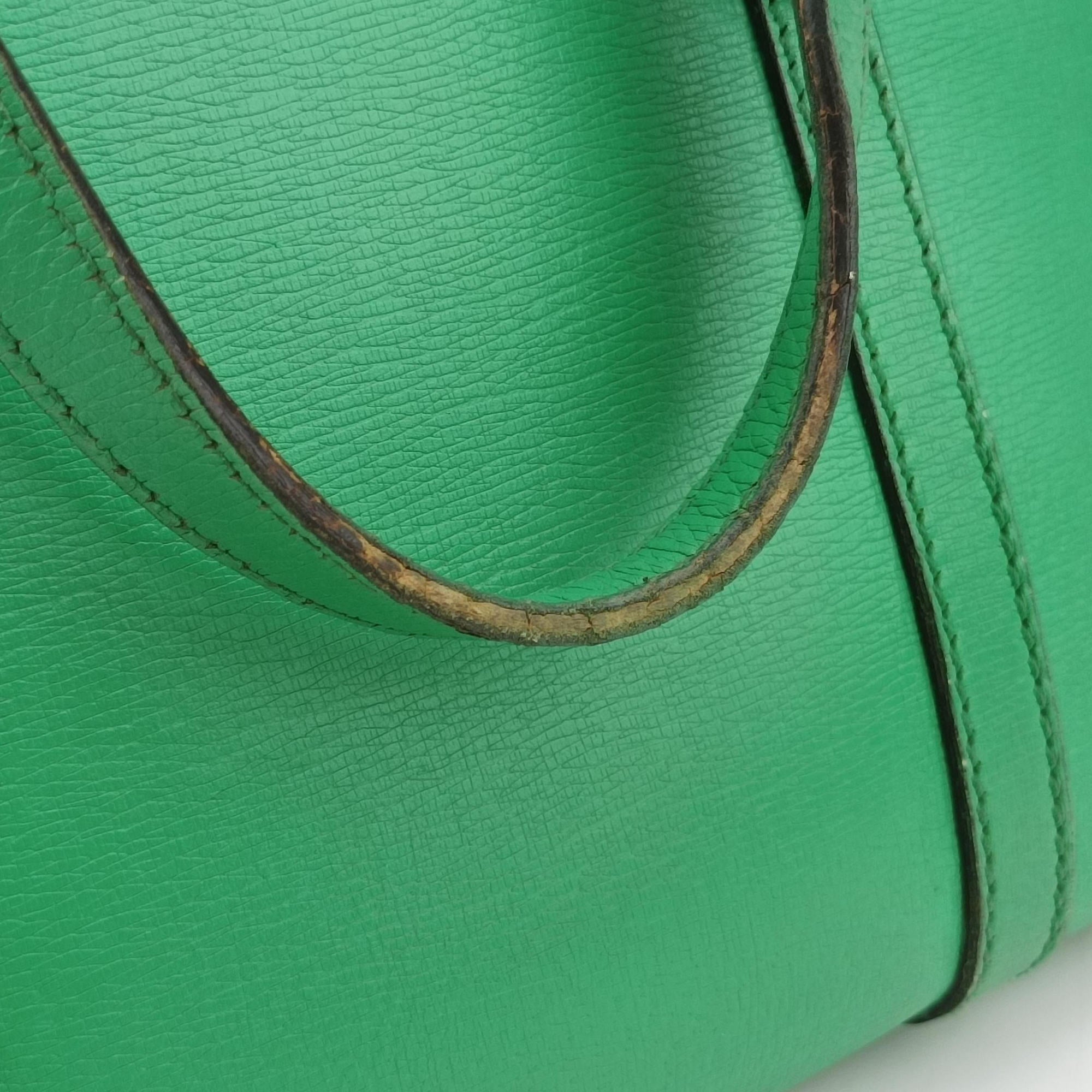 Pre-owned Gucci Microguccissima Green Leather 309617 shoulderbag | stylenewstar