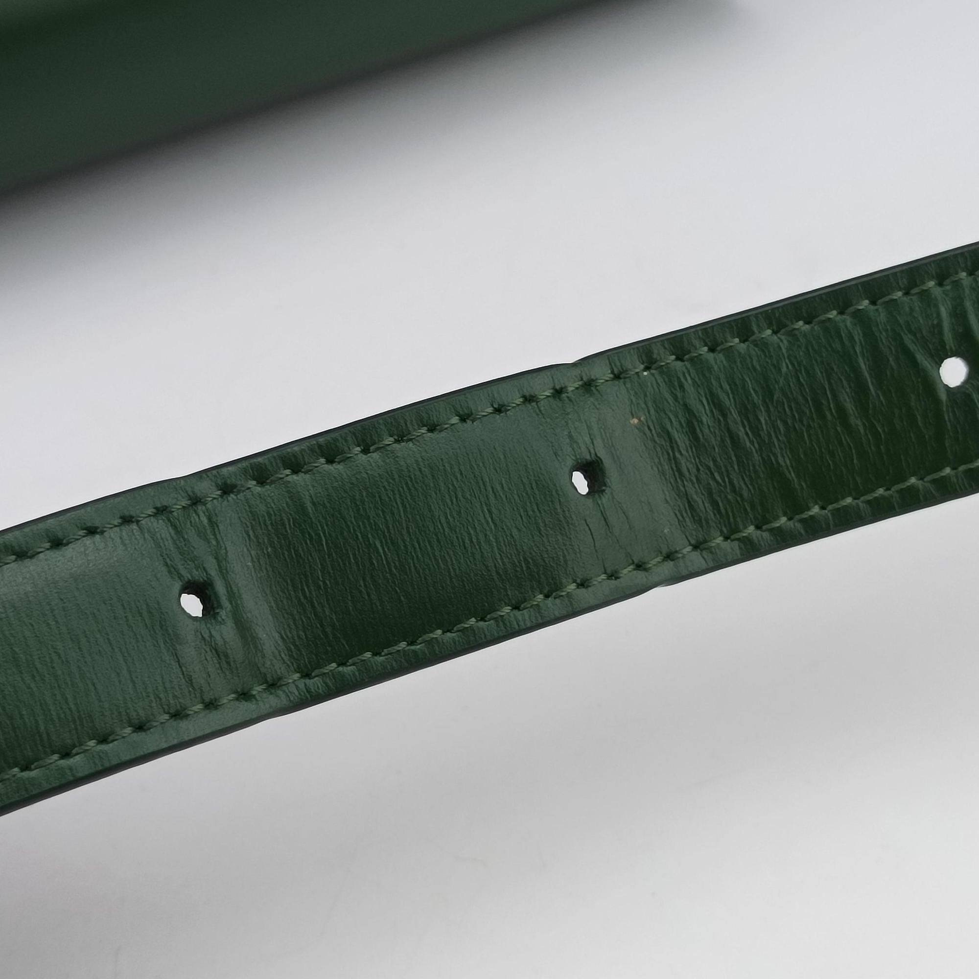Secondhand Celine Triomphe Green Leather  shoulderbag | stylenewstar
