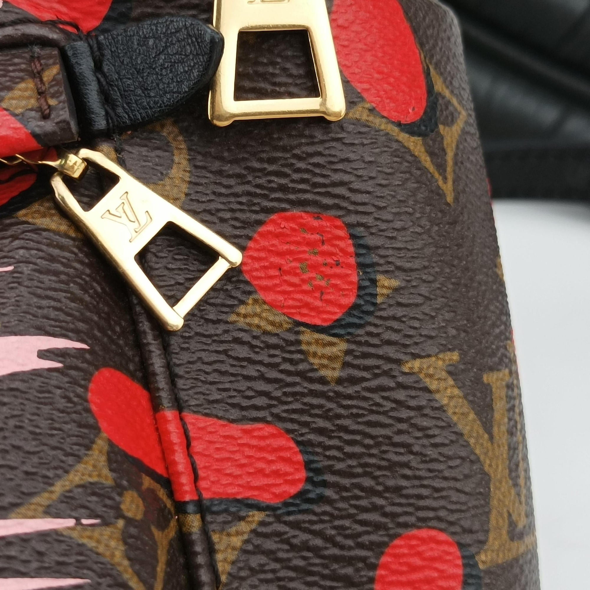 Secondhand Louis Vuitton Palm Springs PM brown×SUGAR PINK POPPY Monogram Jungle dot M41981 backpack/rucksack | stylenewstar
