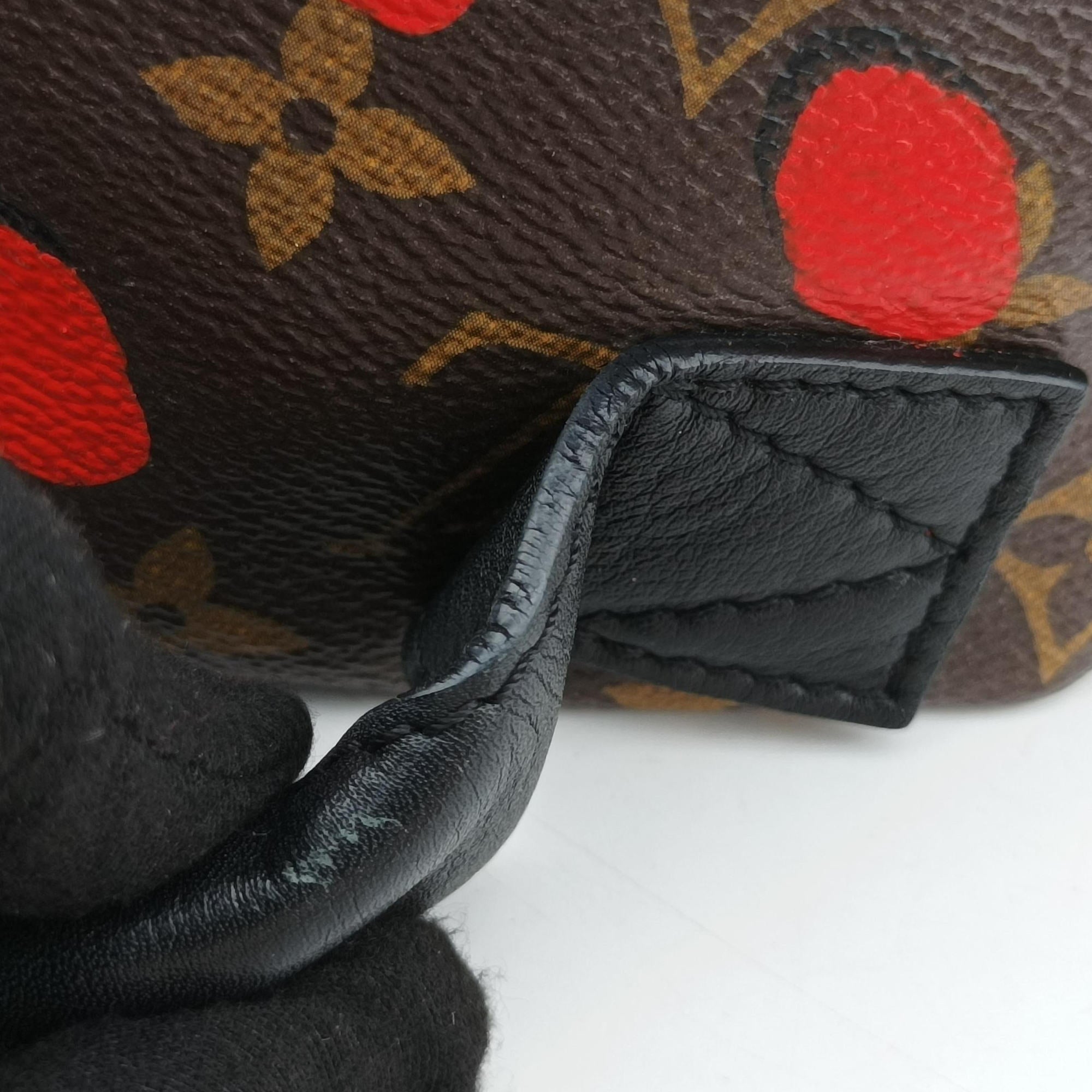 Secondhand Louis Vuitton Palm Springs PM brown×SUGAR PINK POPPY Monogram Jungle dot M41981 backpack/rucksack | stylenewstar