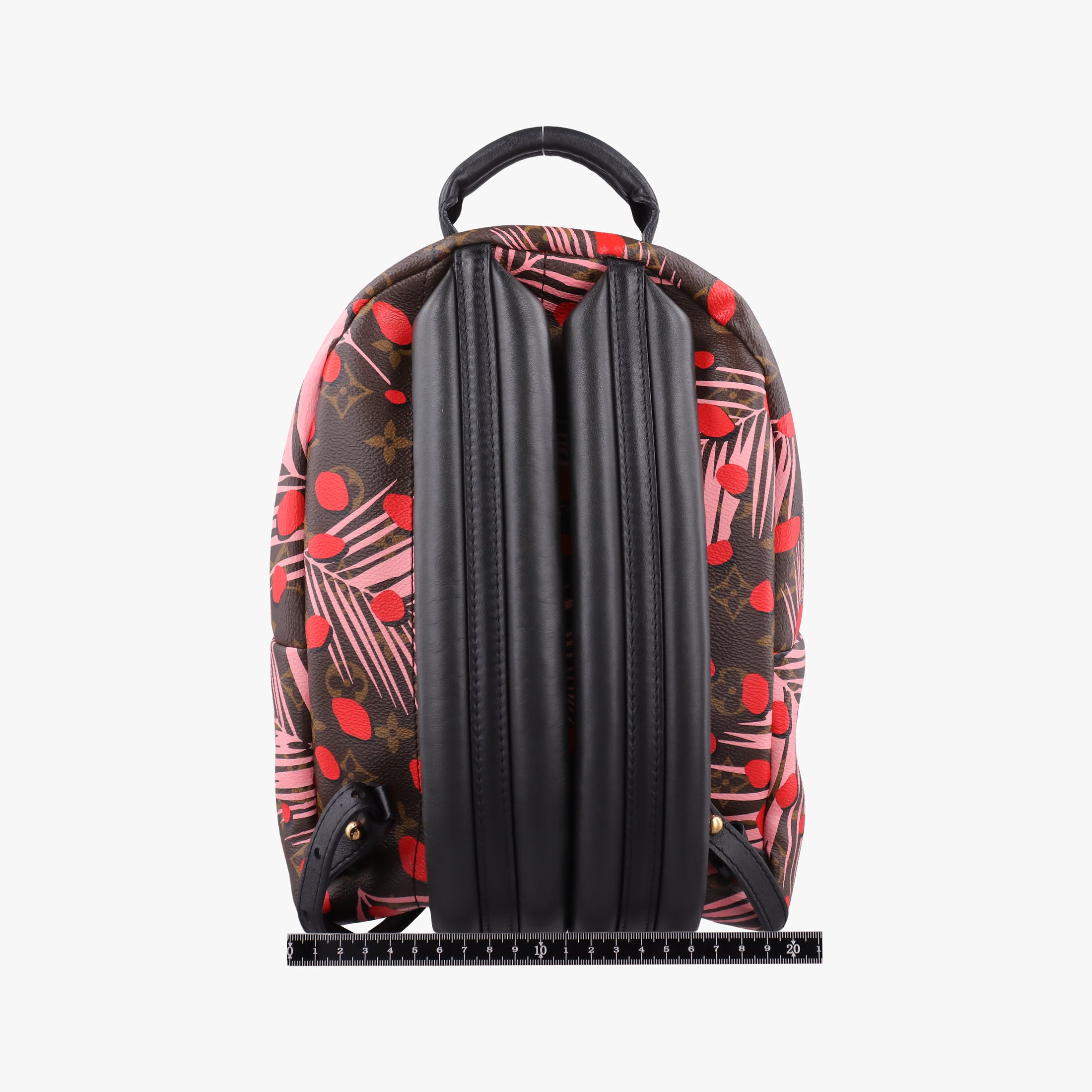 Secondhand Louis Vuitton Palm Springs PM brown×SUGAR PINK POPPY Monogram Jungle dot M41981 backpack/rucksack | stylenewstar