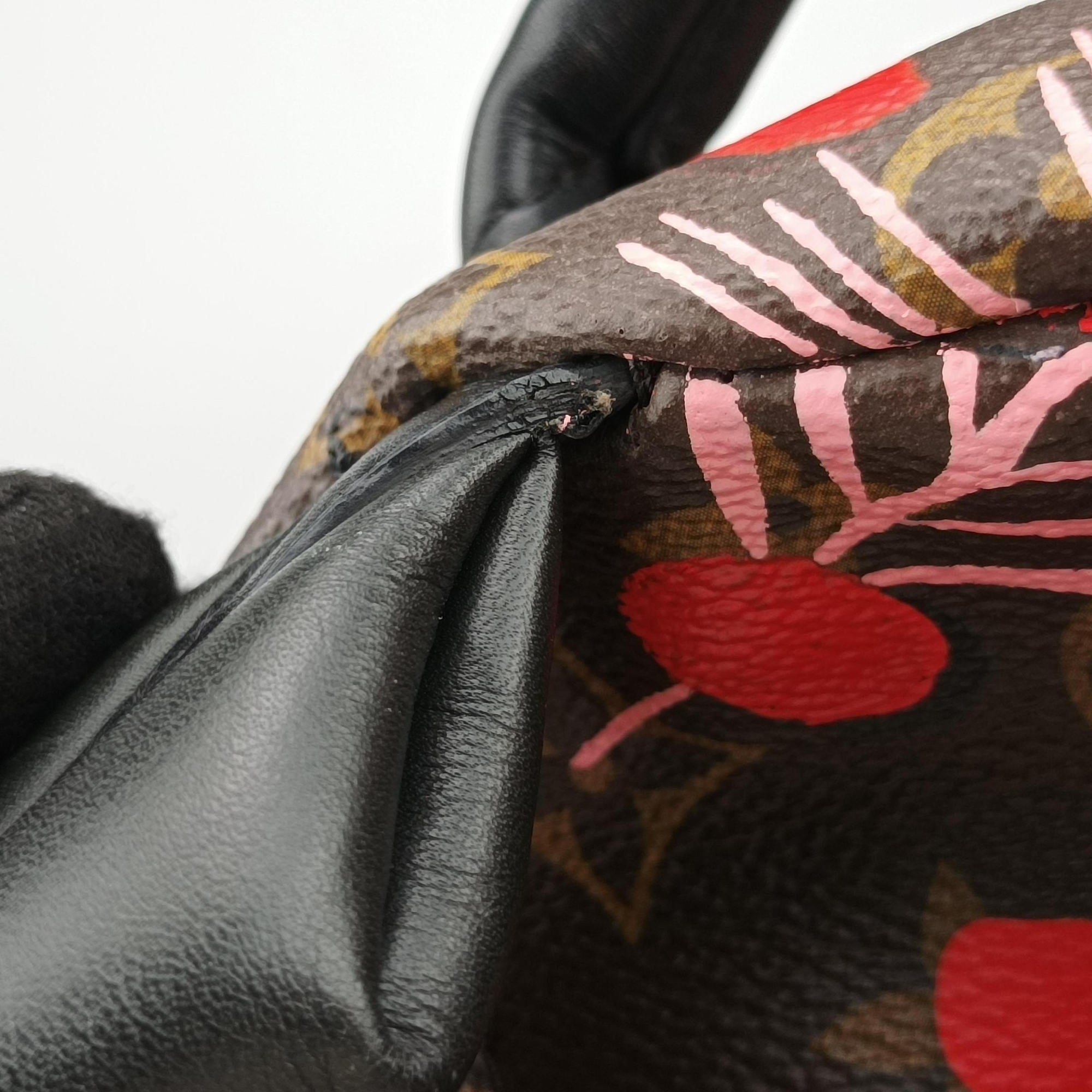 Secondhand Louis Vuitton Palm Springs PM brown×SUGAR PINK POPPY Monogram Jungle dot M41981 backpack/rucksack | stylenewstar