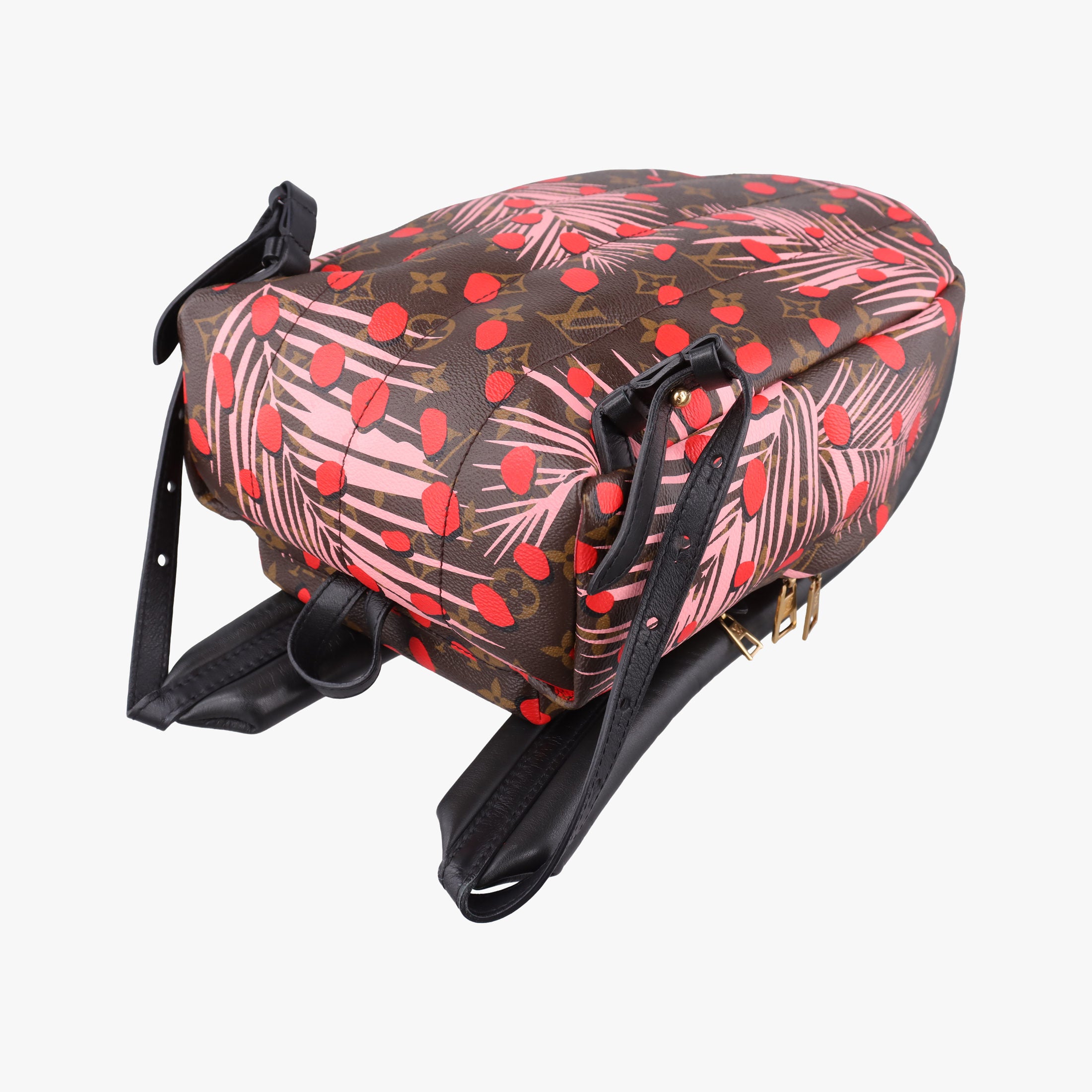 Secondhand Louis Vuitton Palm Springs PM brown×SUGAR PINK POPPY Monogram Jungle dot M41981 backpack/rucksack | stylenewstar