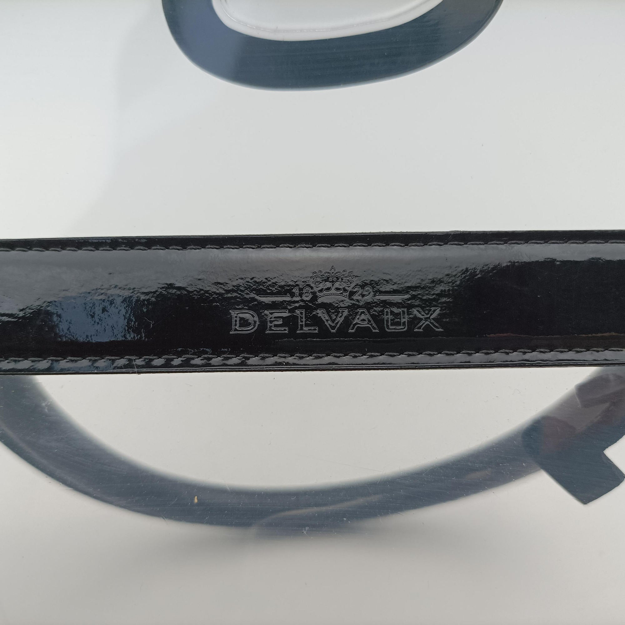 Pre-owned Delvaux Brillant X-RAY Limited Edition Clear × Black Transparent PVC  handbag | stylenewstar