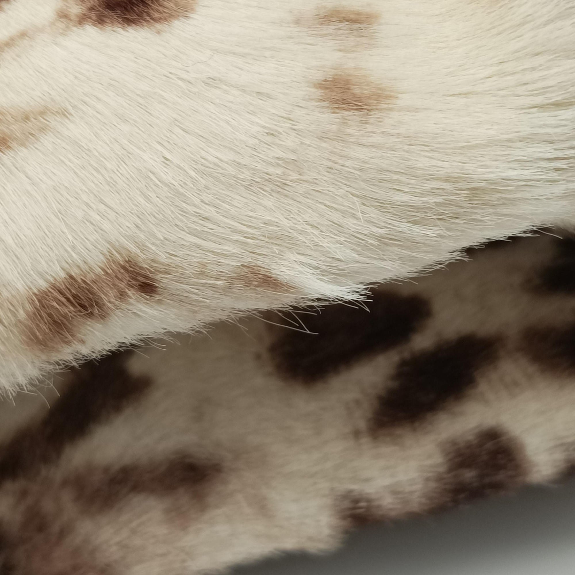 Secondhand Bvlgari Leopard Print Black Leather× Fur  shoulderbag | stylenewstar