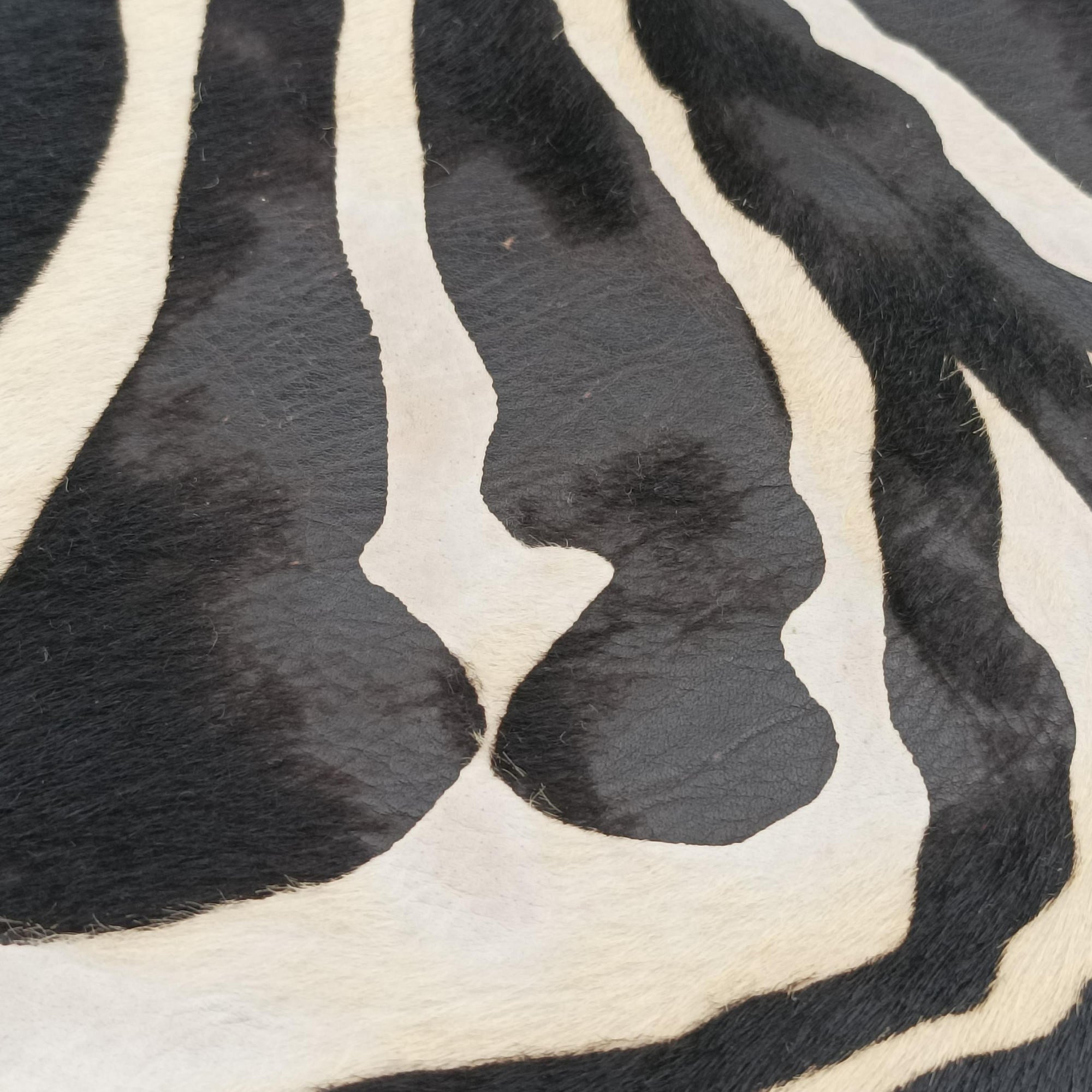 Pre-owned Dolce & Gabbana Zebra Print Black × White Ponyhair  shoulderbag | stylenewstar