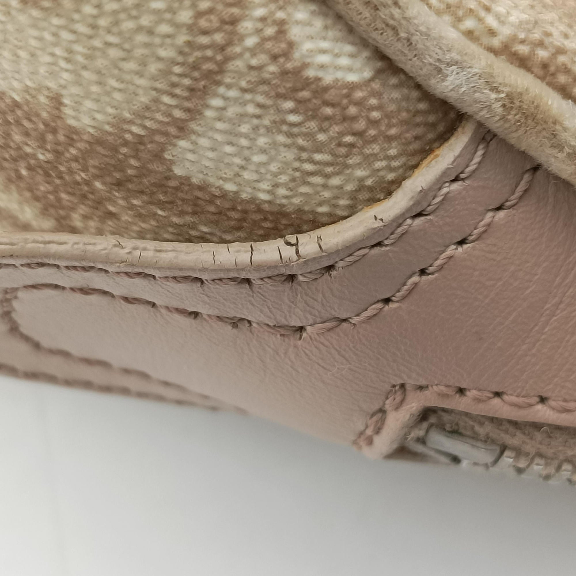 Pre-owned Christian Dior Romantic Trotter Beige x Pink PVC coated canvas x velour  shoulderbag | stylenewstar