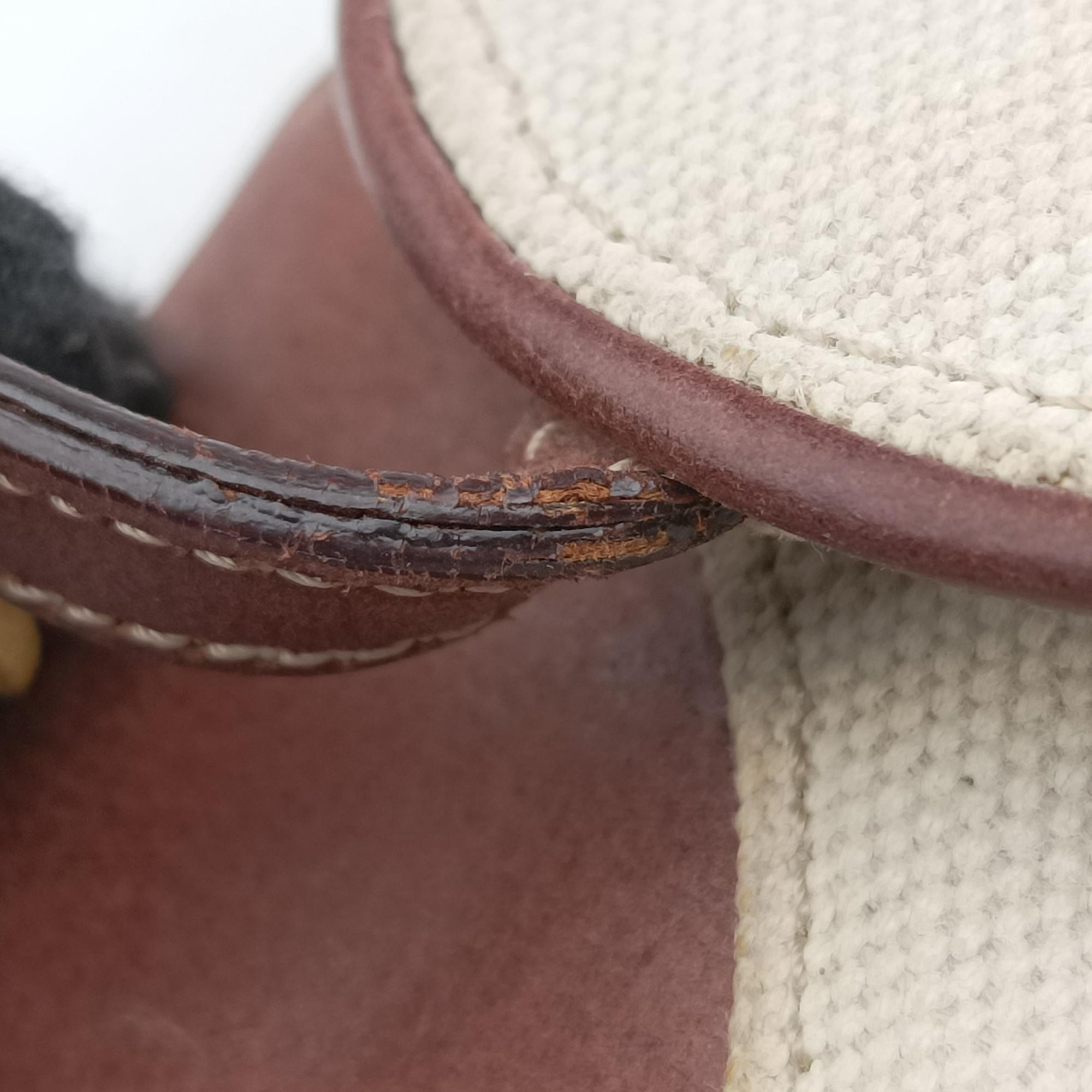 Pre-owned Christian Dior Saddle Beige × Brown Canvas × Leather  bum bag/waist bag | stylenewstar