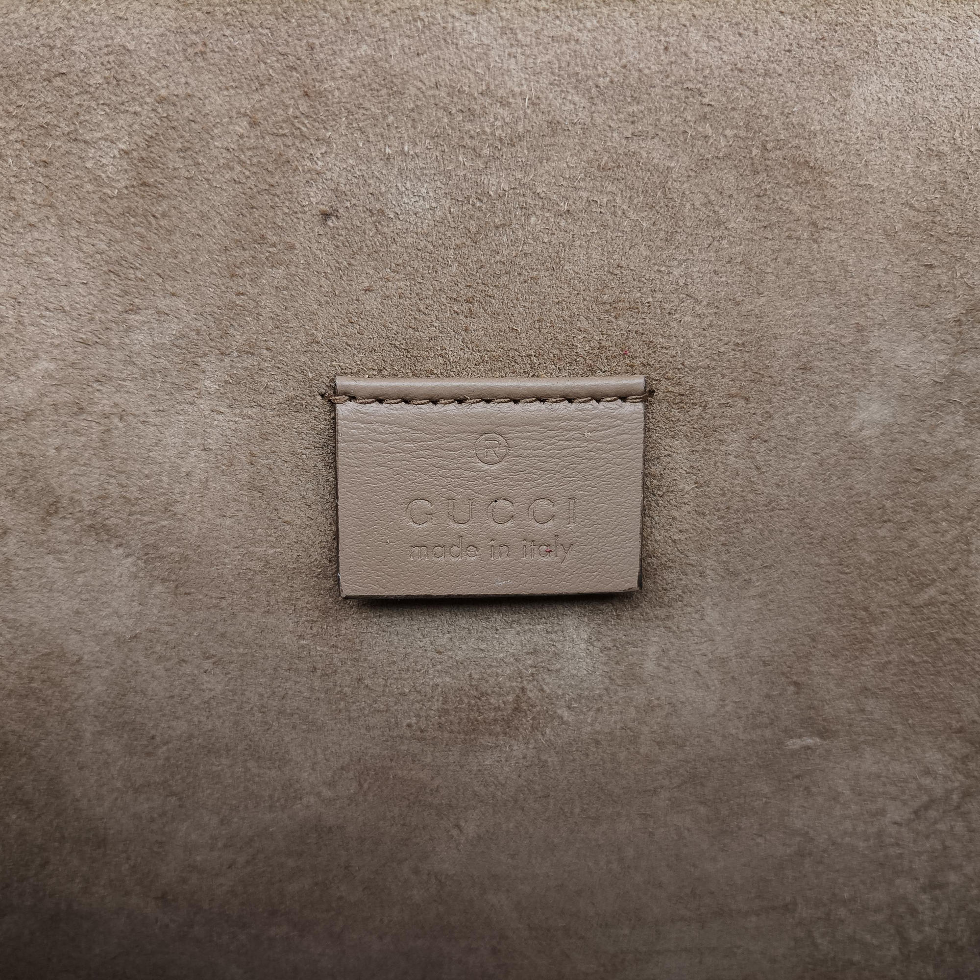Pre-owned Gucci Dionysus Brown PVC coated canvas × suede 421970 shoulderbag | stylenewstar