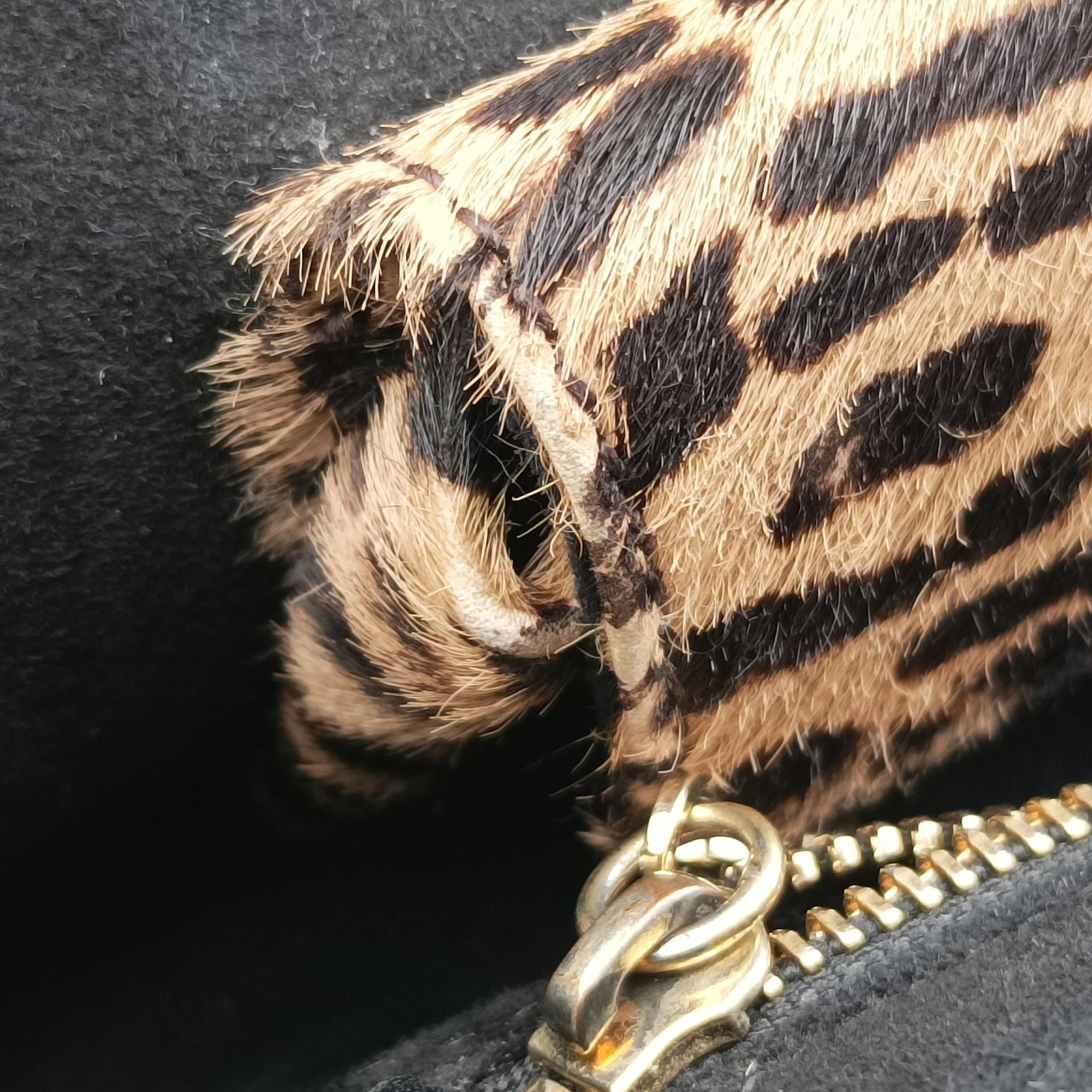 Vintage Bvlgari Serpenti Scaglie Black × Leopard Pattern Pony × Leather  shoulderbag | stylenewstar