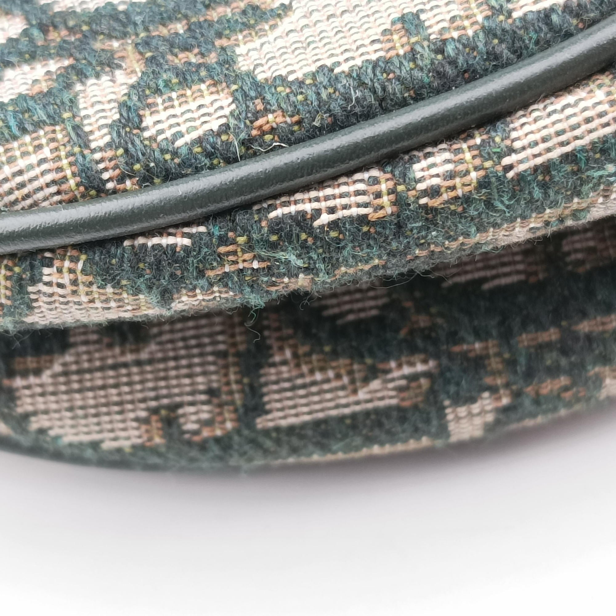 Pre-owned Christian Dior Saddle Green Jacquard  handbag | stylenewstar