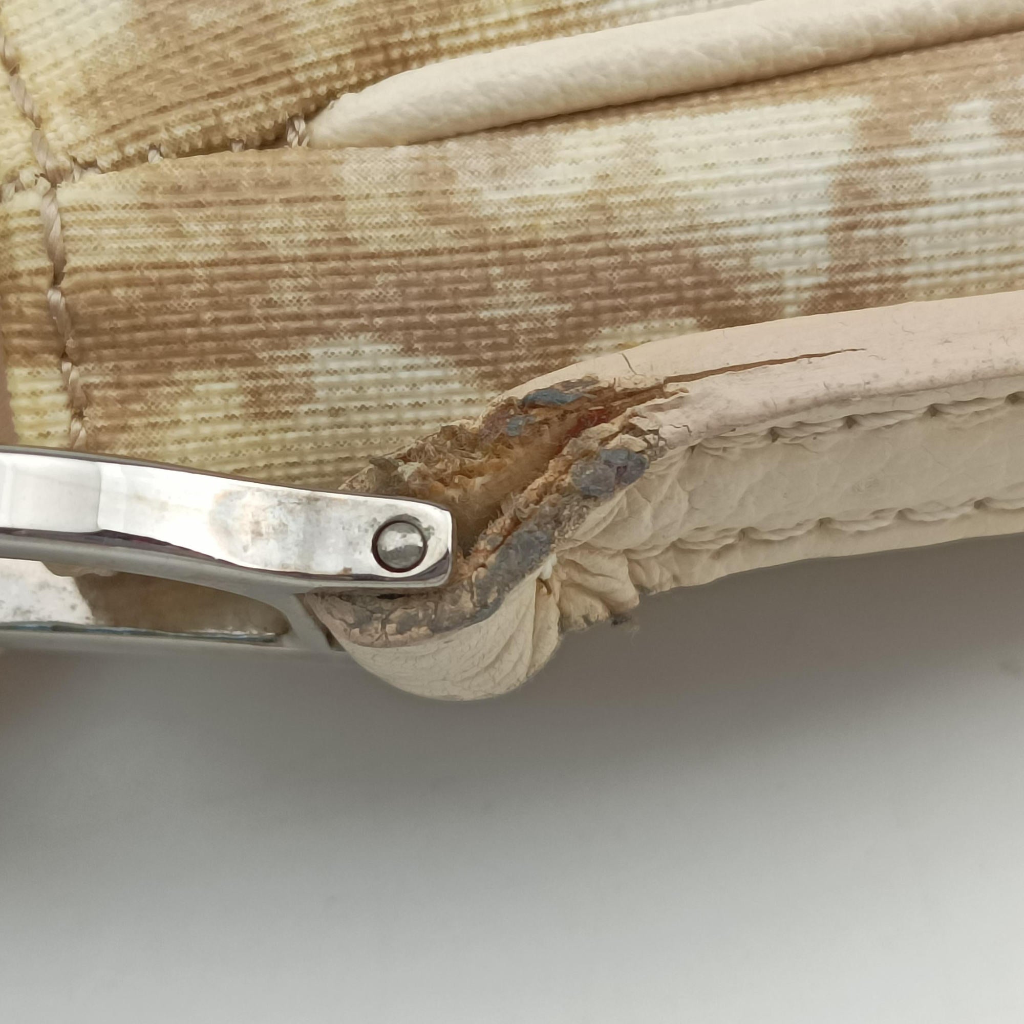 Pre-owned Christian Dior Trotter Flower Beige PVC Coated Canvas Floral Embroidery  shoulderbag | stylenewstar