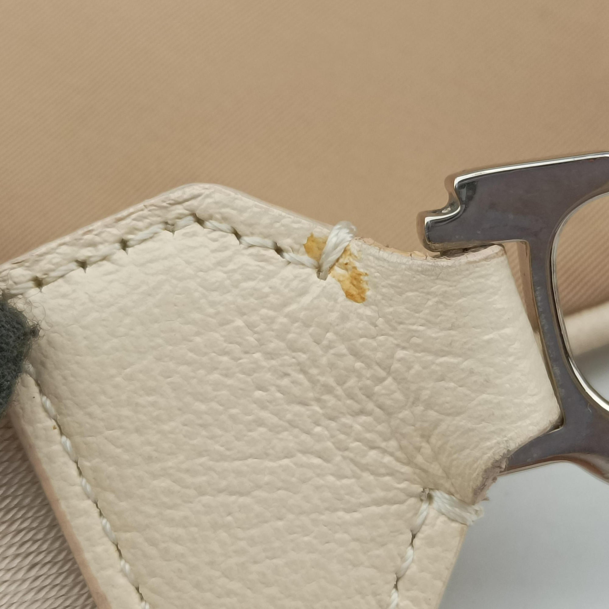 Pre-owned Christian Dior Trotter Flower Beige PVC Coated Canvas Floral Embroidery  shoulderbag | stylenewstar