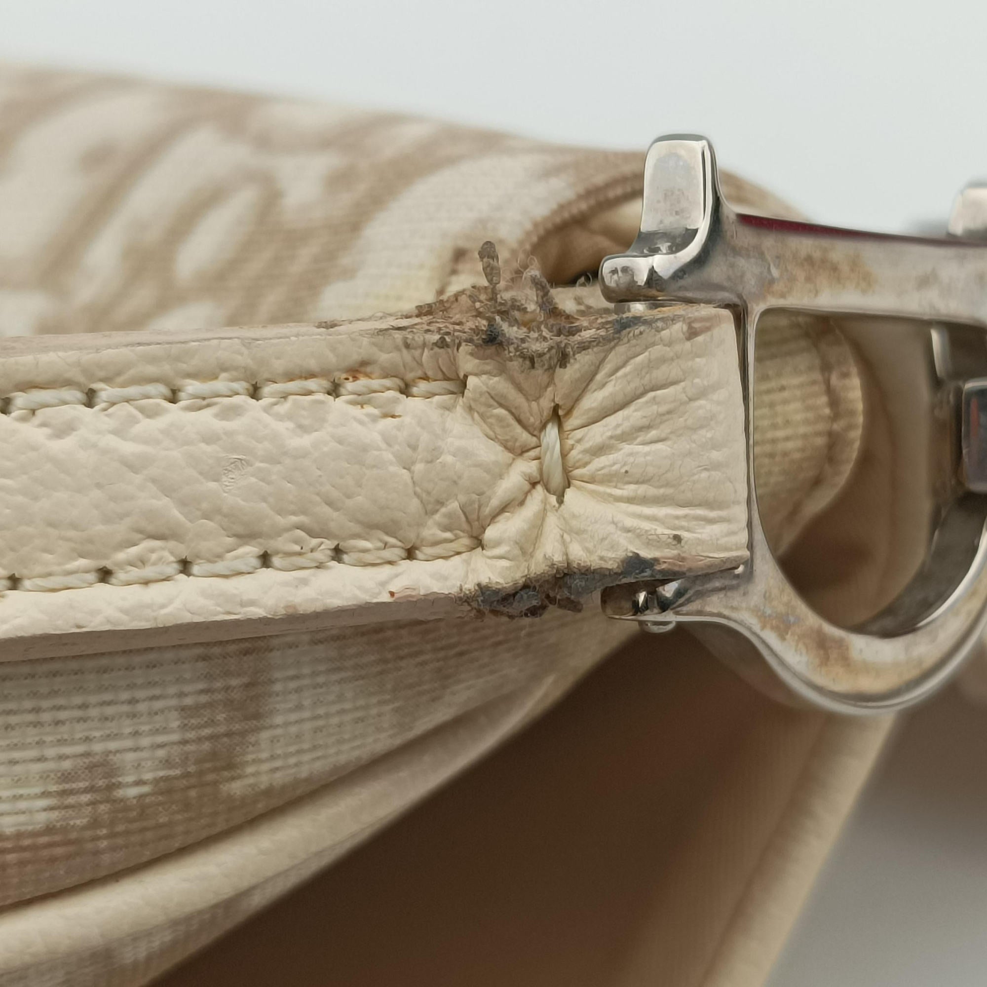 Pre-owned Christian Dior Trotter Flower Beige PVC Coated Canvas Floral Embroidery  shoulderbag | stylenewstar