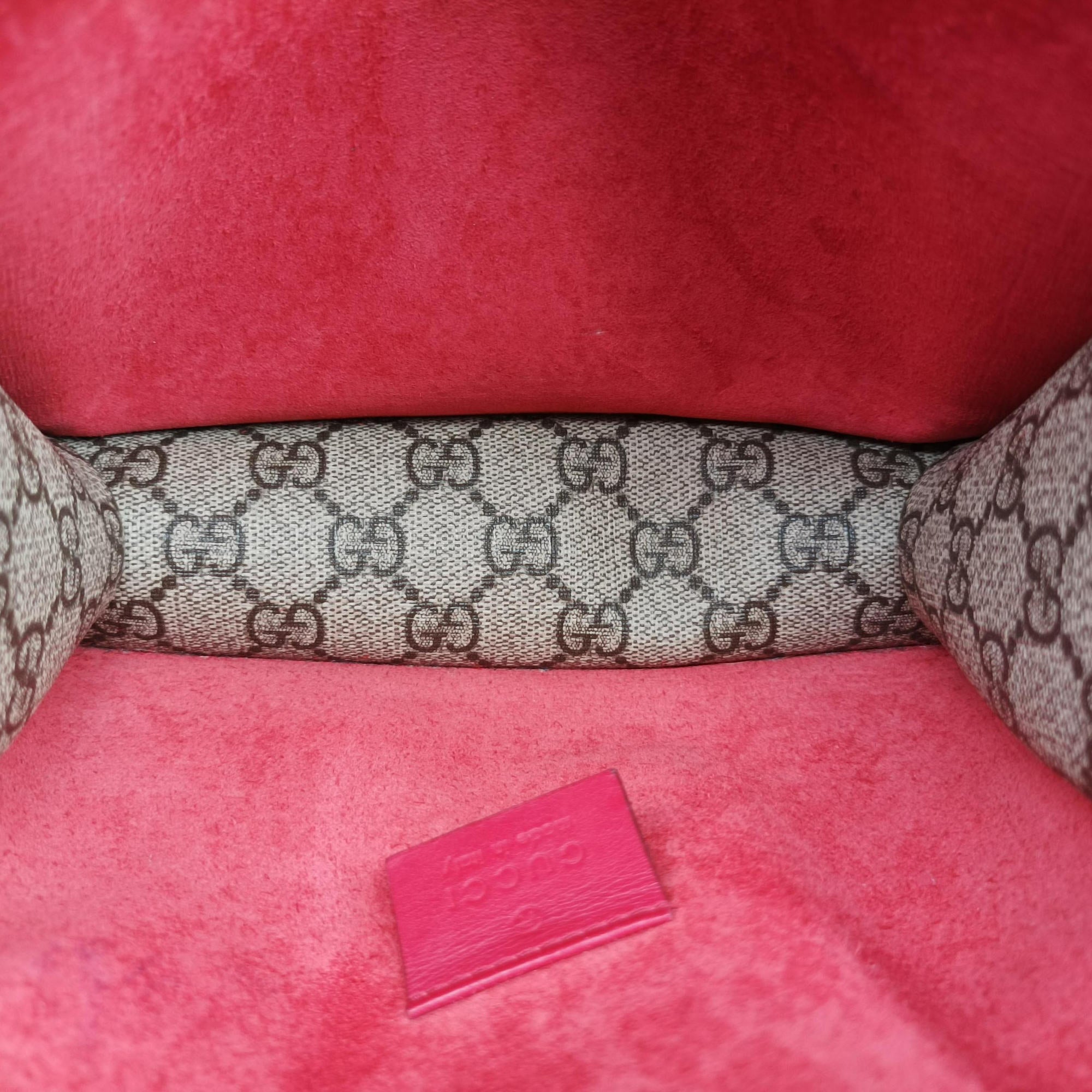 Secondhand Gucci Dionysus beige×red PVC coated canvas × suede 421970 shoulderbag | stylenewstar