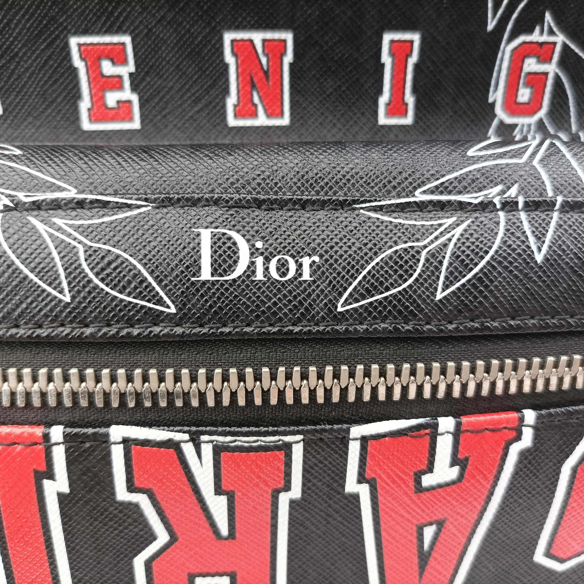 Pre-owned Christian Dior Fall 2017 "Late Night" Capsule Late Night Printed Black Leather 1LNBA001 backpack/rucksack | stylenewstar