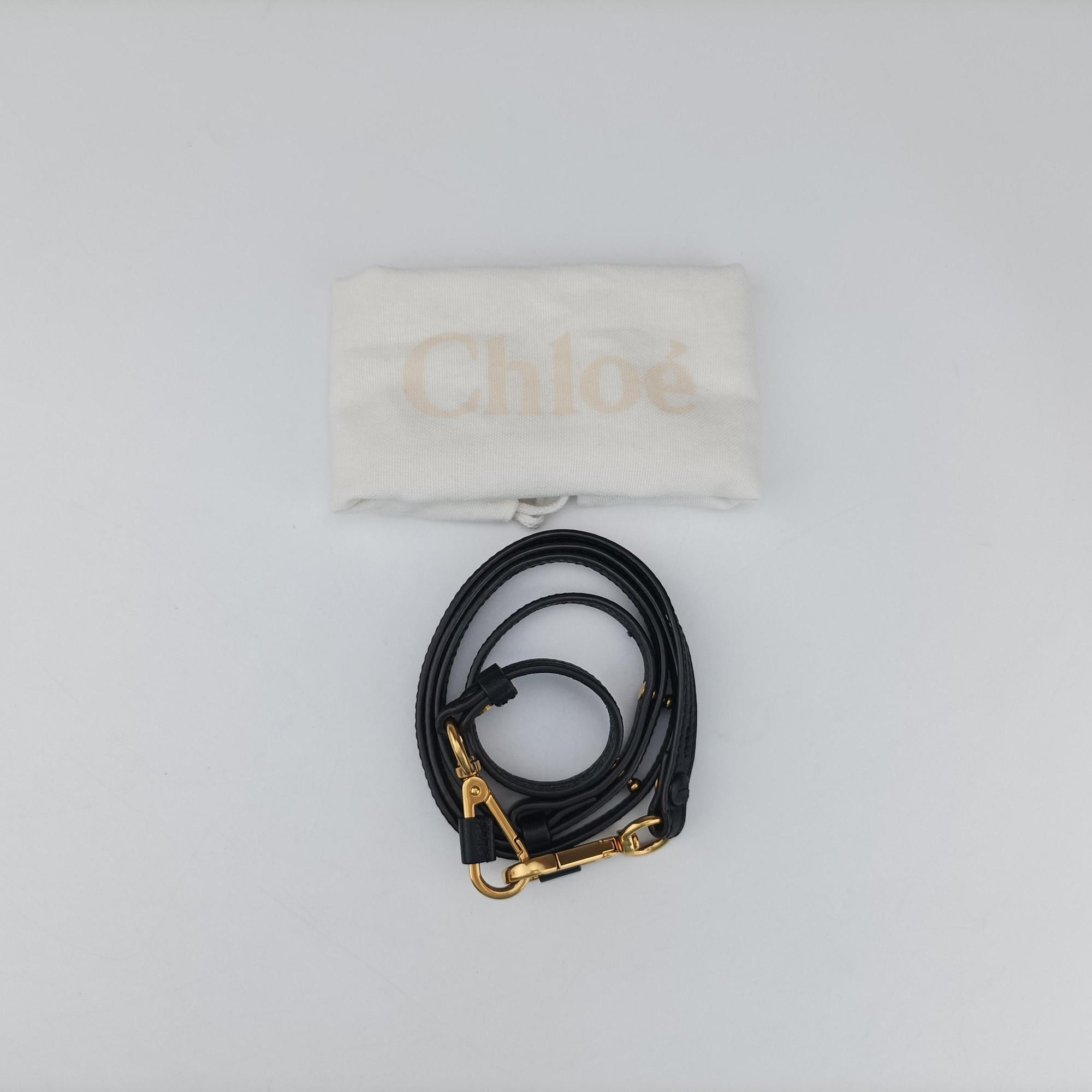 Vintage Chloe Nile Minaudiere Black Leather  shoulderbag | stylenewstar