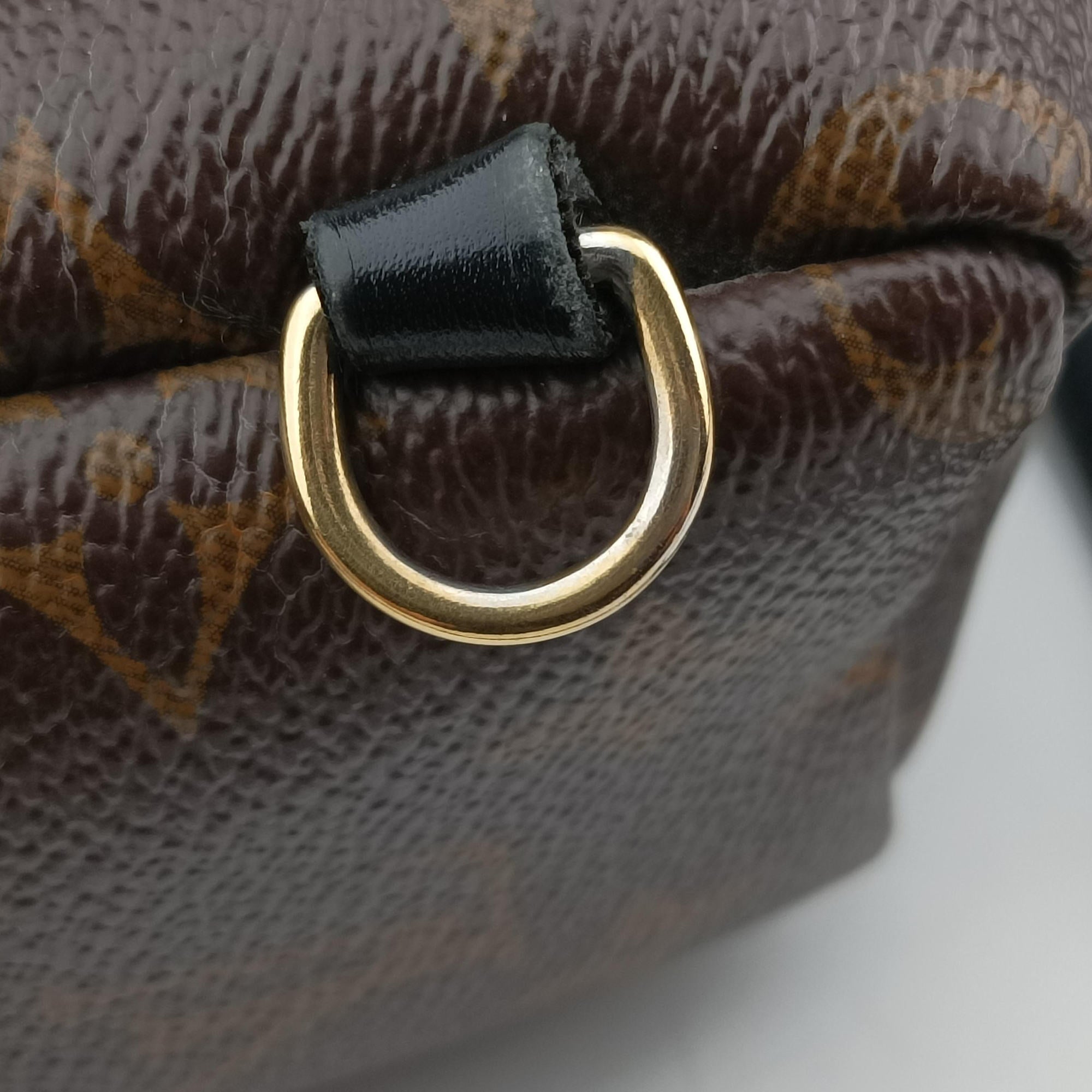 Secondhand Louis Vuitton Palm Springs Backpack MINI Monogram x Noir Monogram Canvas M41562 backpack/rucksack | stylenewstar