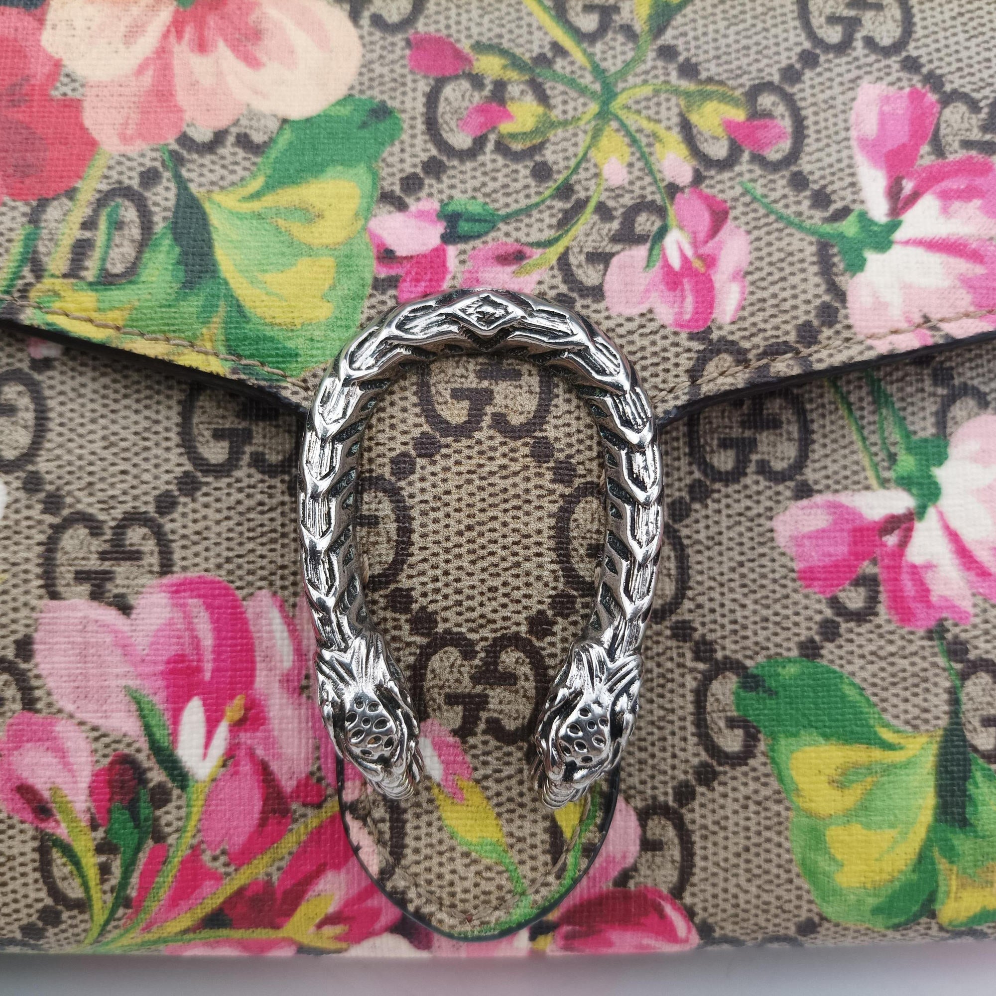 Pre-owned Gucci Dionysus Multicolour PVC coated canvas 401231 shoulderbag | stylenewstar
