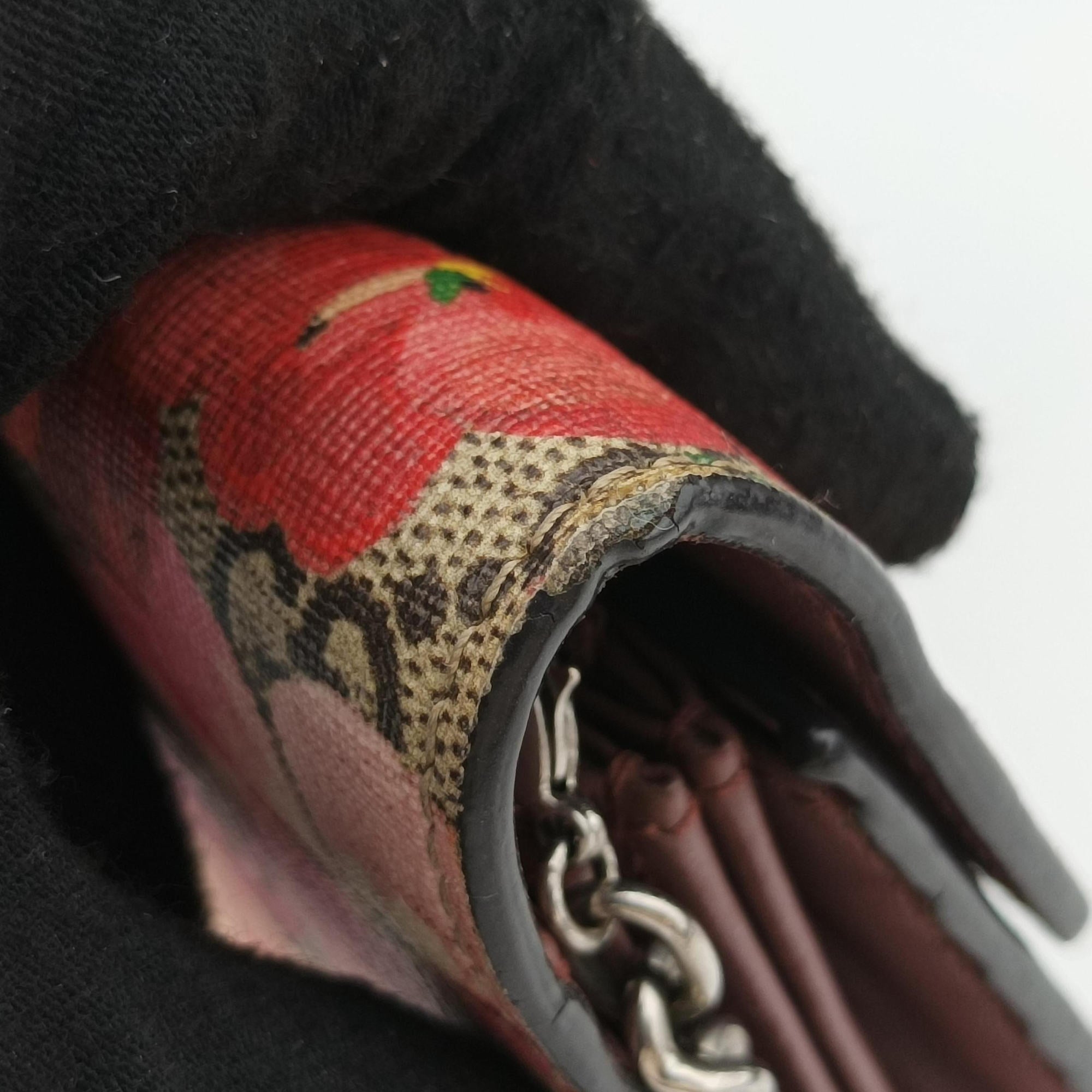 Pre-owned Gucci Dionysus Multicolour PVC coated canvas 401231 shoulderbag | stylenewstar