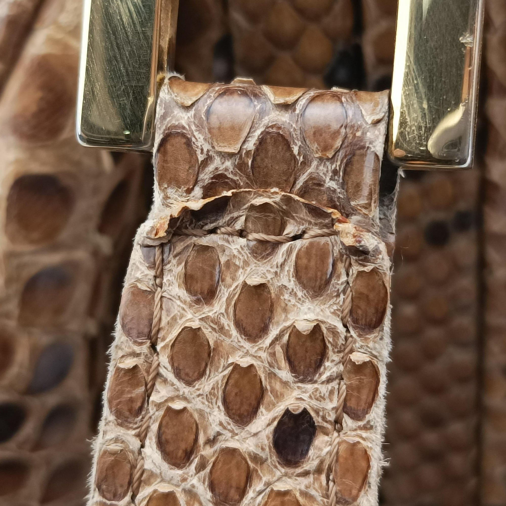 Pre-owned Fendi Patchwork Frame Tobacco × Brown Canvas × Python 15240 shoulderbag | stylenewstar