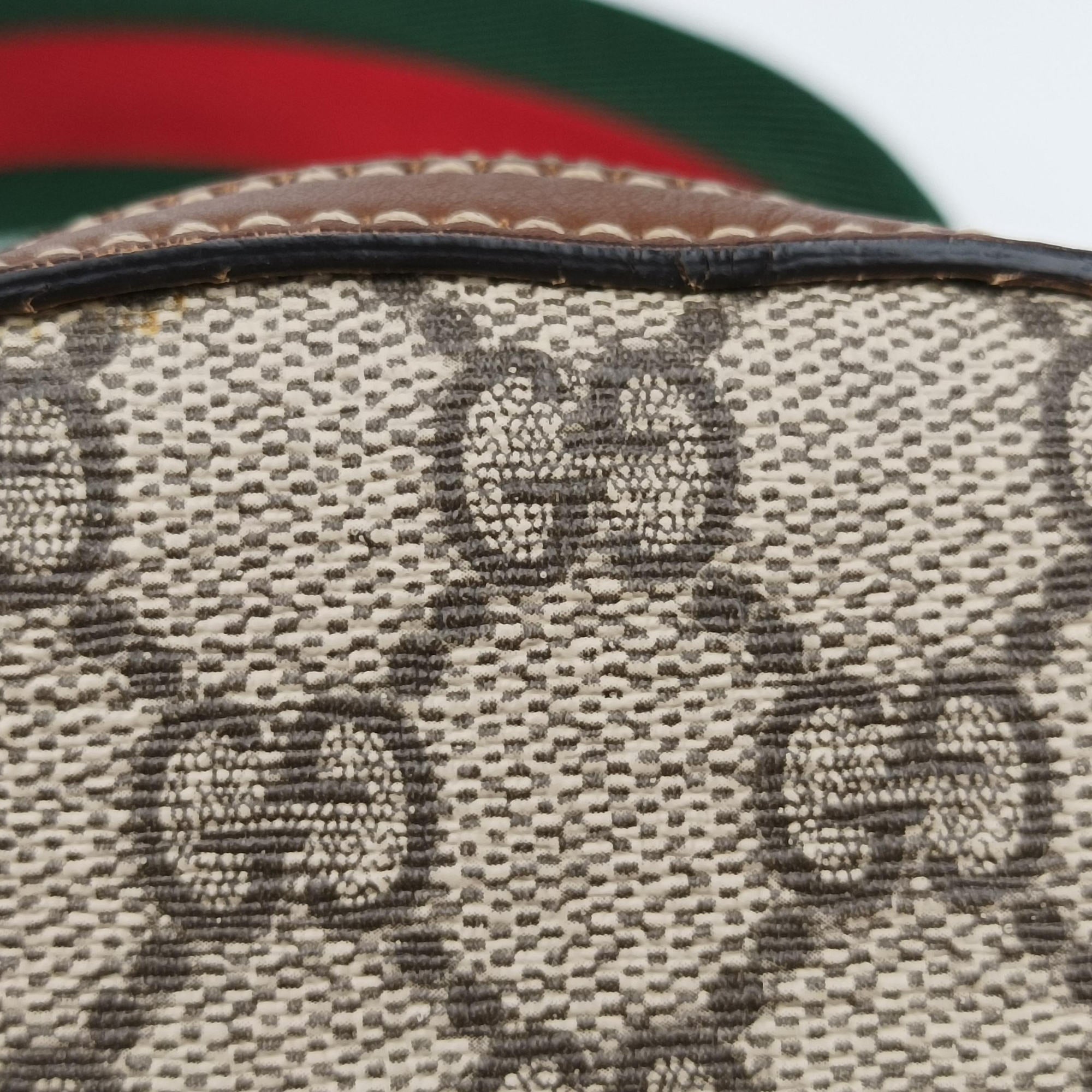 Vintage Gucci GG Supreme Tian Beige×Multicolour PVC coated canvas×leather 427042 backpack/rucksack | stylenewstar