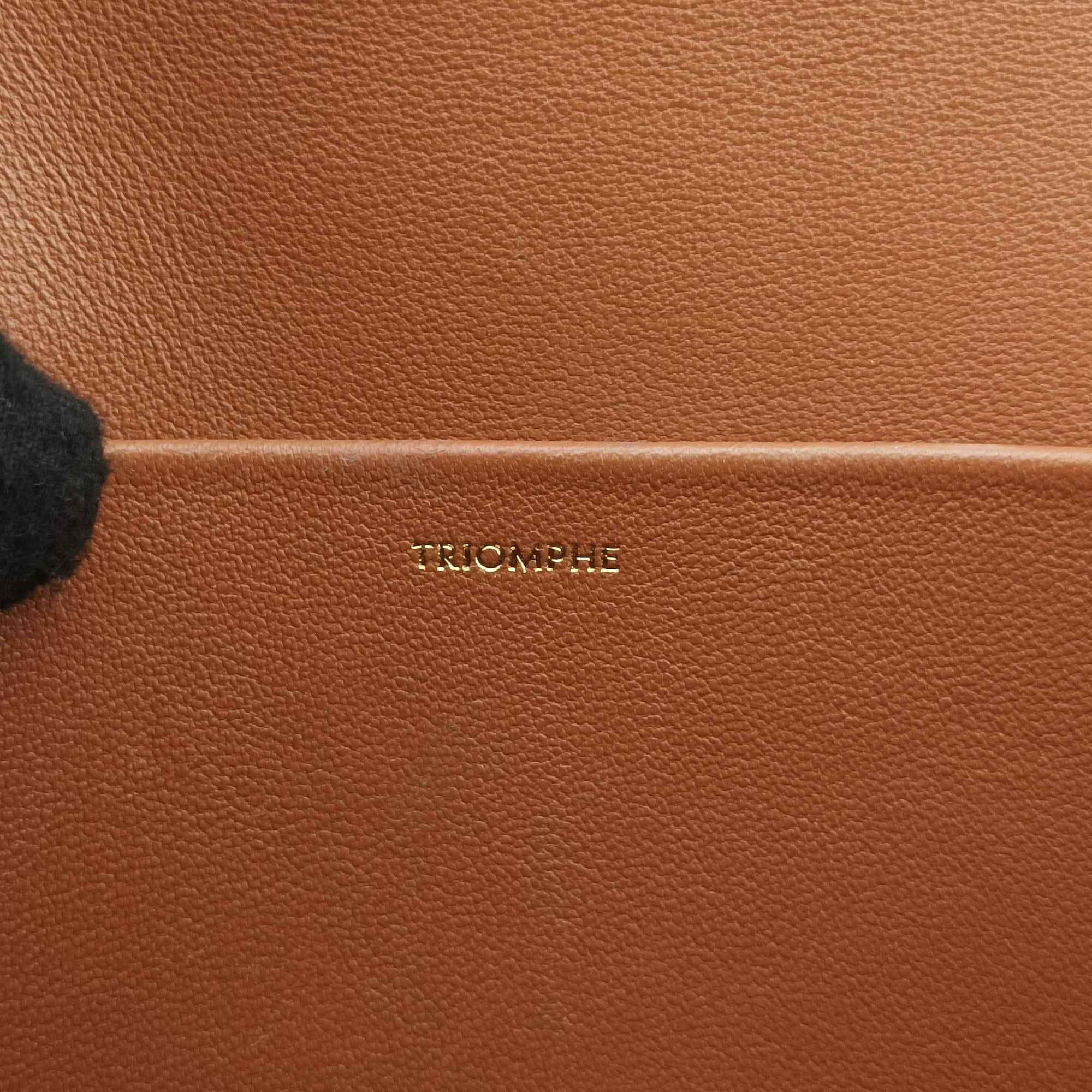 Vintage Celine TRIOMPHE Brown PVC coated canvas  handbag | stylenewstar