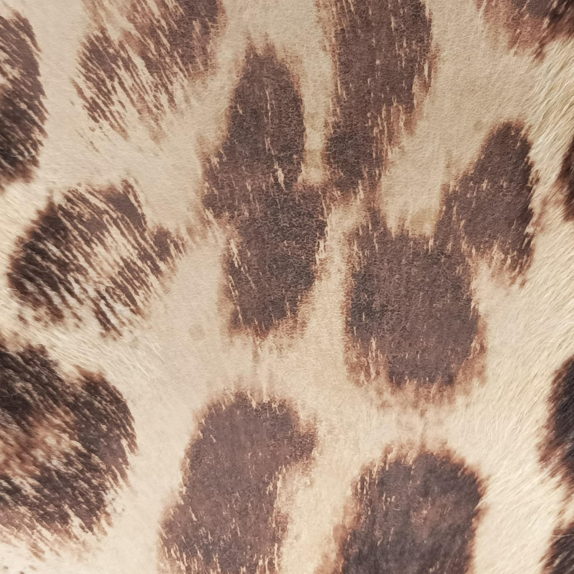 Pre-owned Celine Micro Luggage Leopard Print × Black Ponyhair× Smooth Leather  handbag | stylenewstar