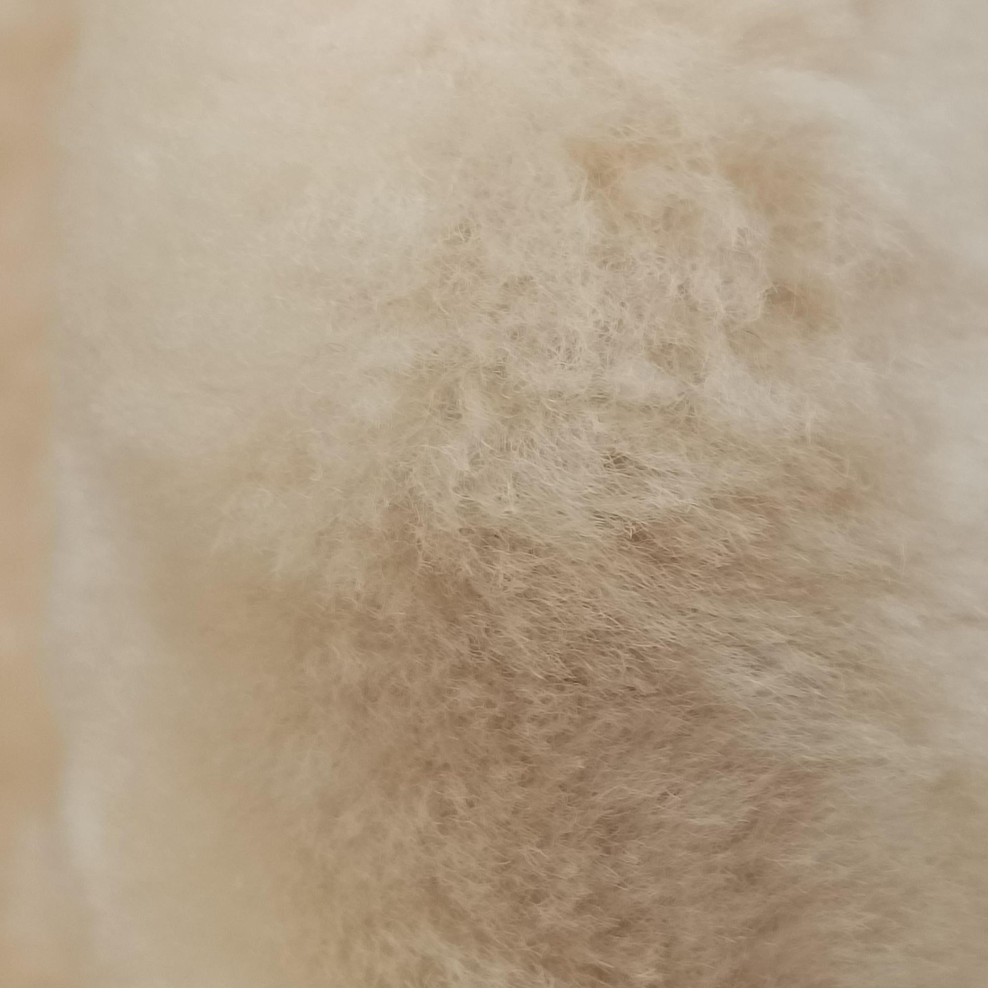 Secondhand Balenciaga PAPIER A6 Beige Mouton  handbag | stylenewstar