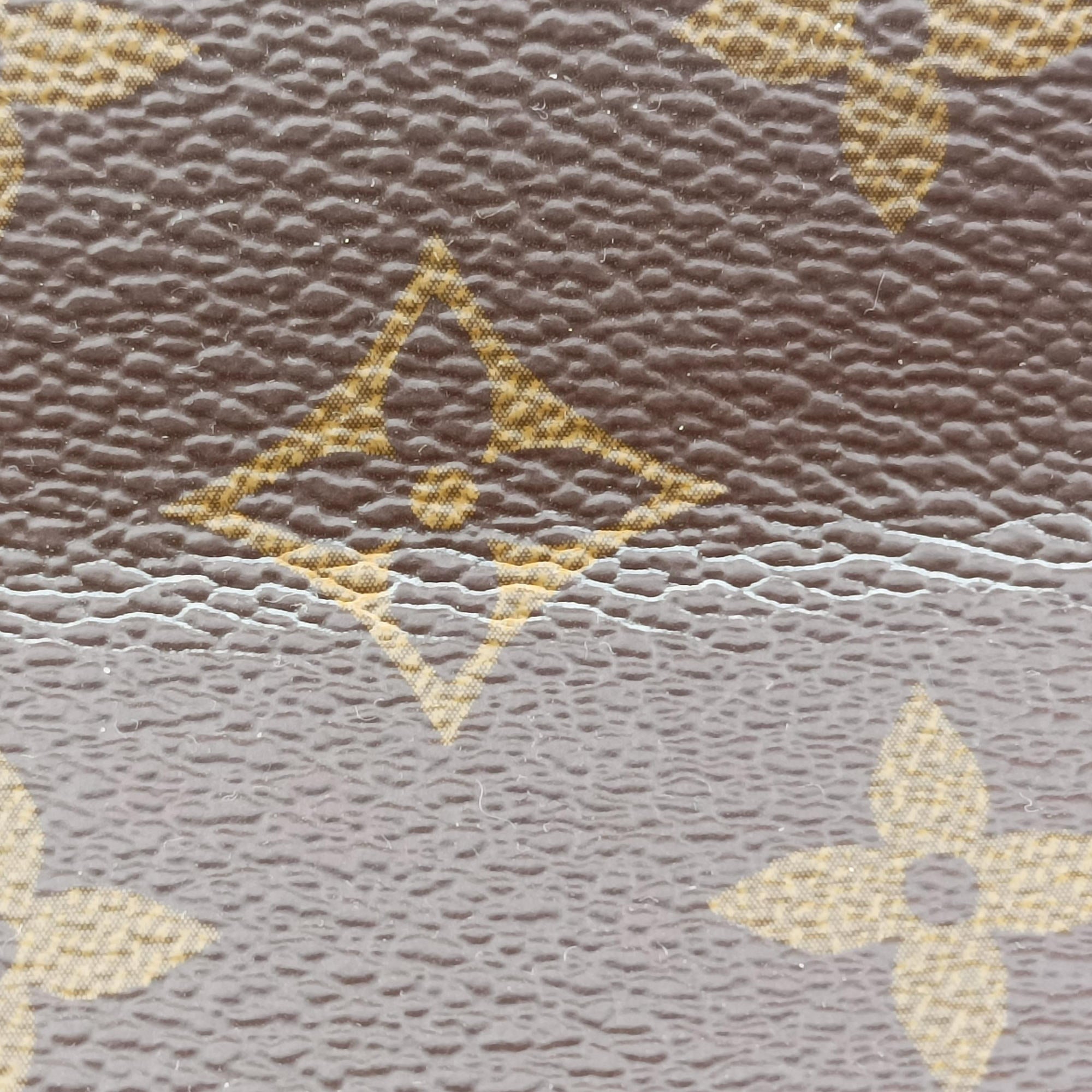 Secondhand Louis Vuitton Venus brown×RAISIN Monogram Canvas×calf leather M42413 handbag | stylenewstar