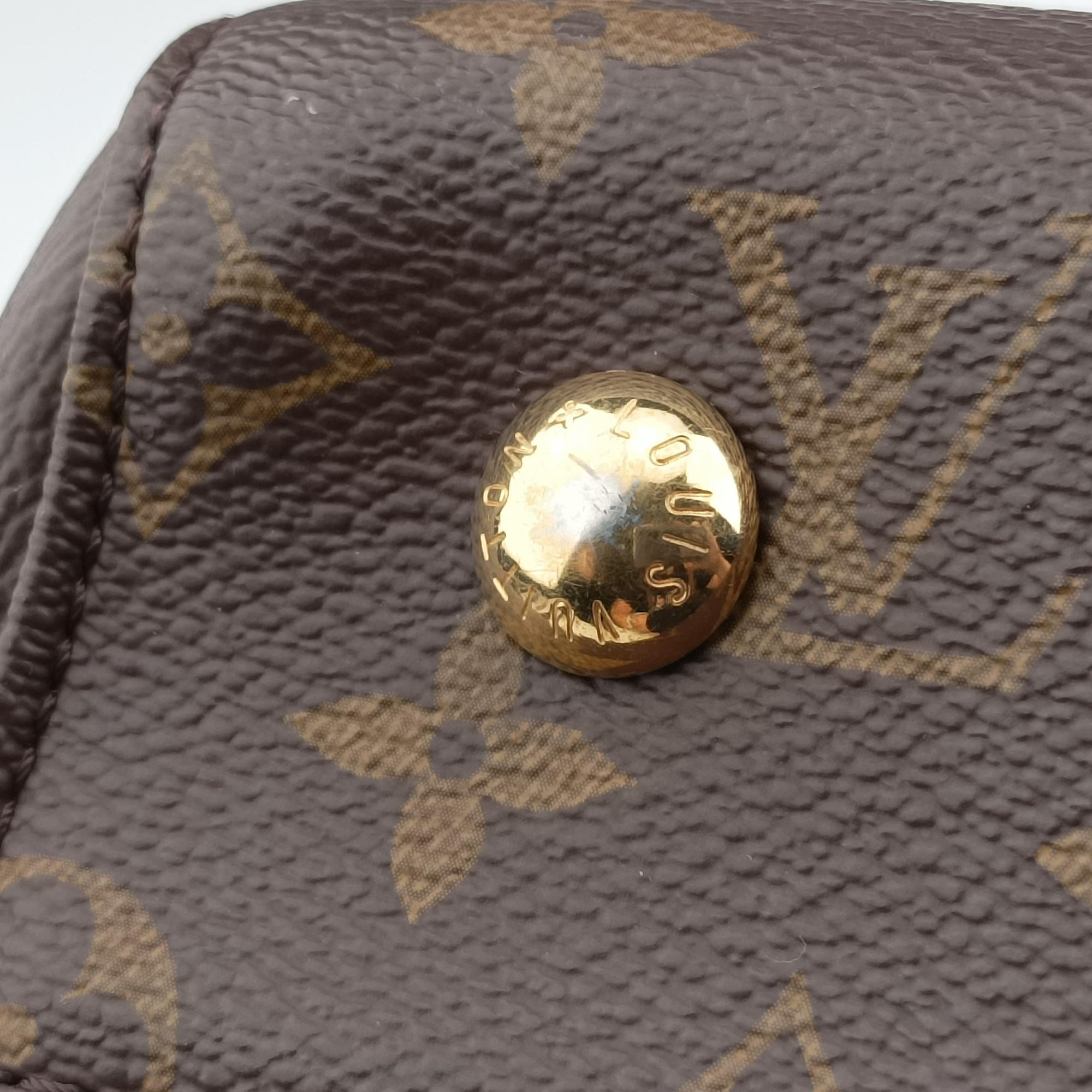 Secondhand Louis Vuitton Venus brown×RAISIN Monogram Canvas×calf leather M42413 handbag | stylenewstar