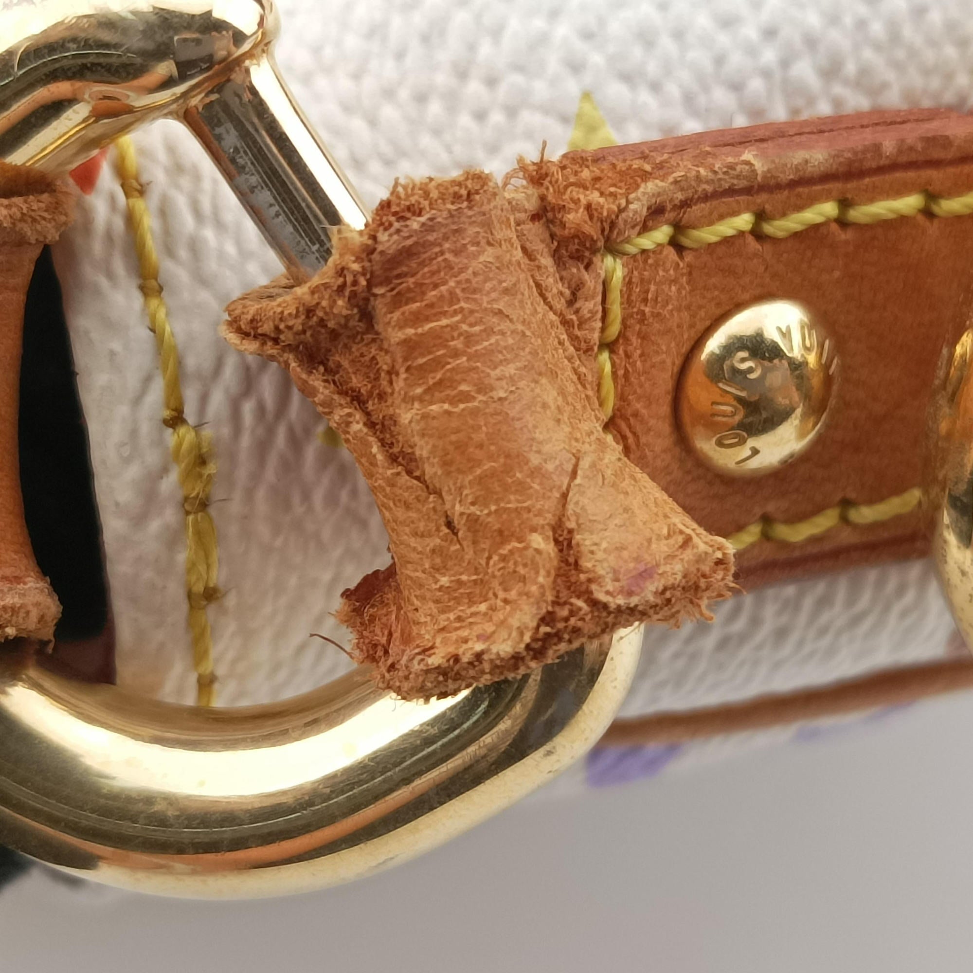 Pre-owned Louis Vuitton LODGE PM white Monogram Multicolor M40053 shoulderbag | stylenewstar