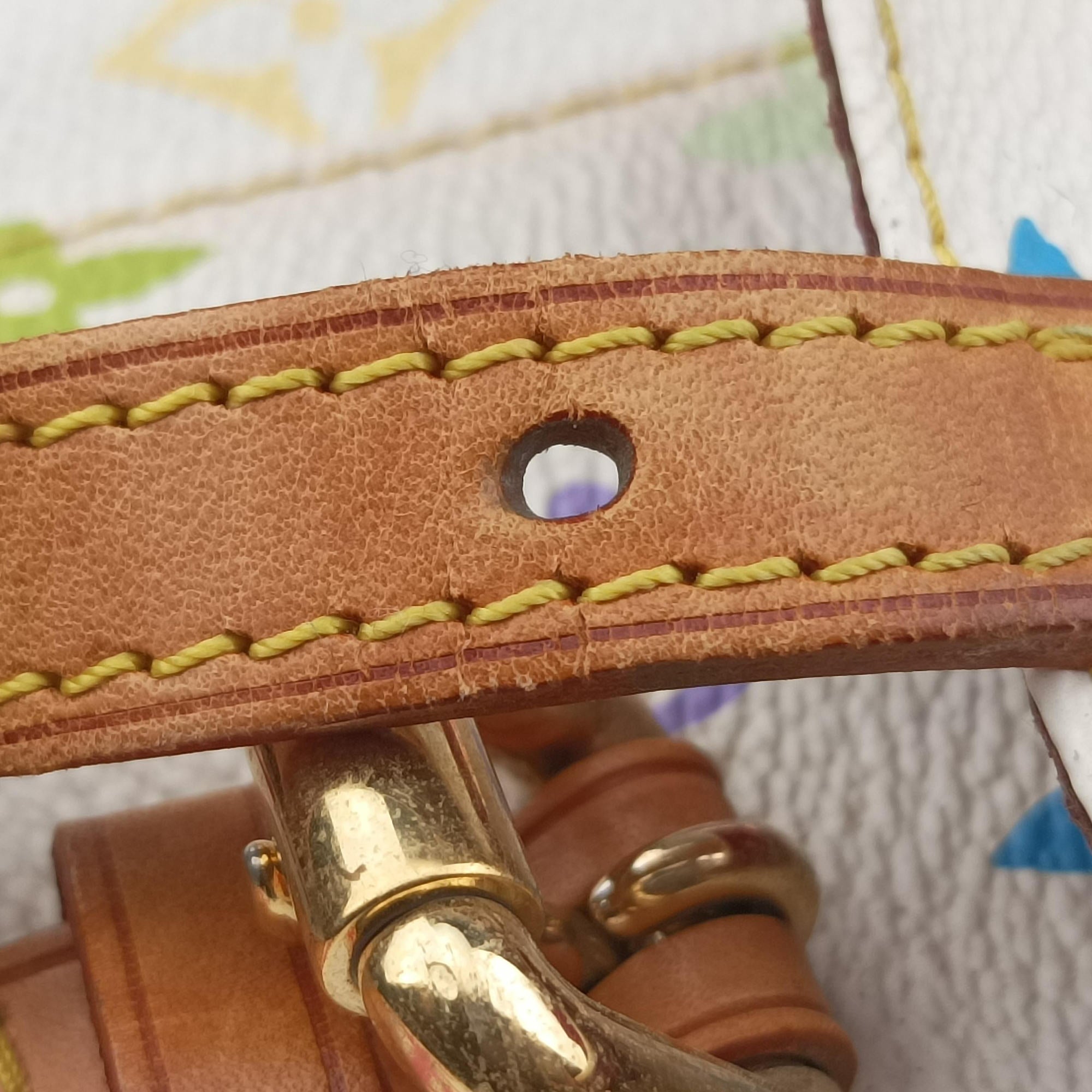 Pre-owned Louis Vuitton LODGE PM white Monogram Multicolor M40053 shoulderbag | stylenewstar