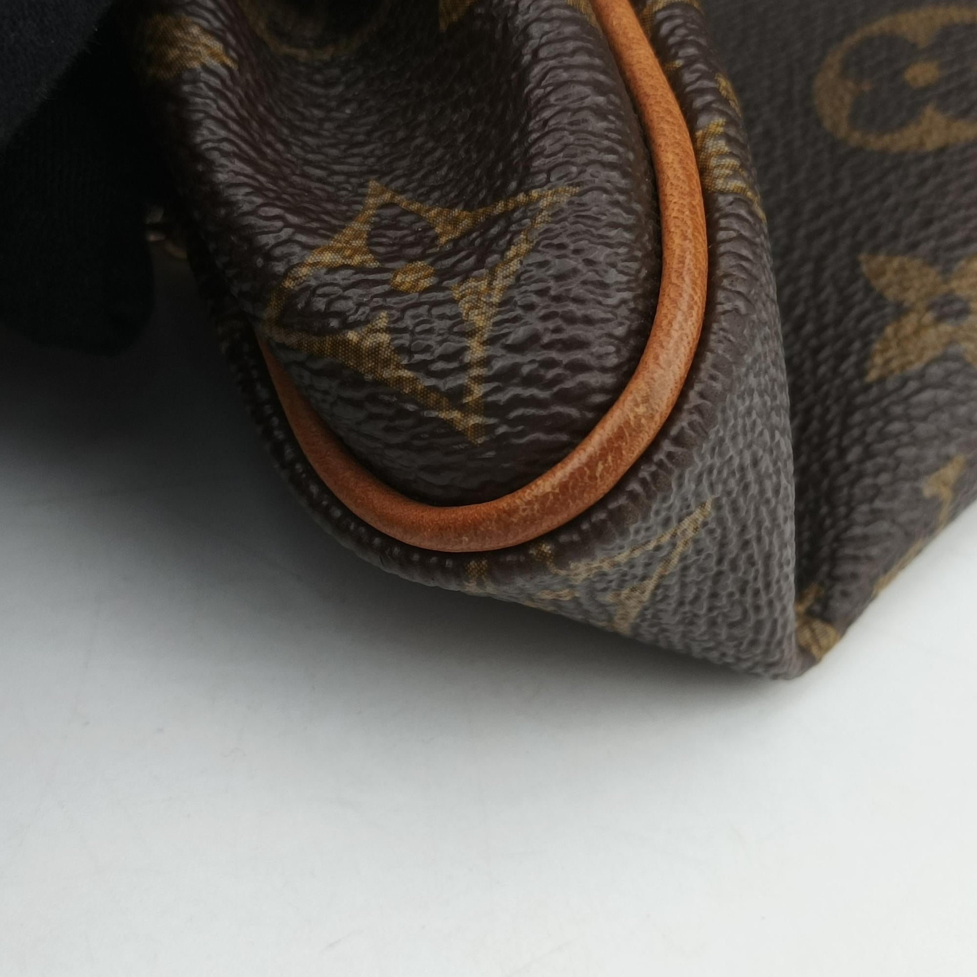 Pre-owned Louis Vuitton EVA brown Monogram Canvas M95567 shoulderbag | stylenewstar