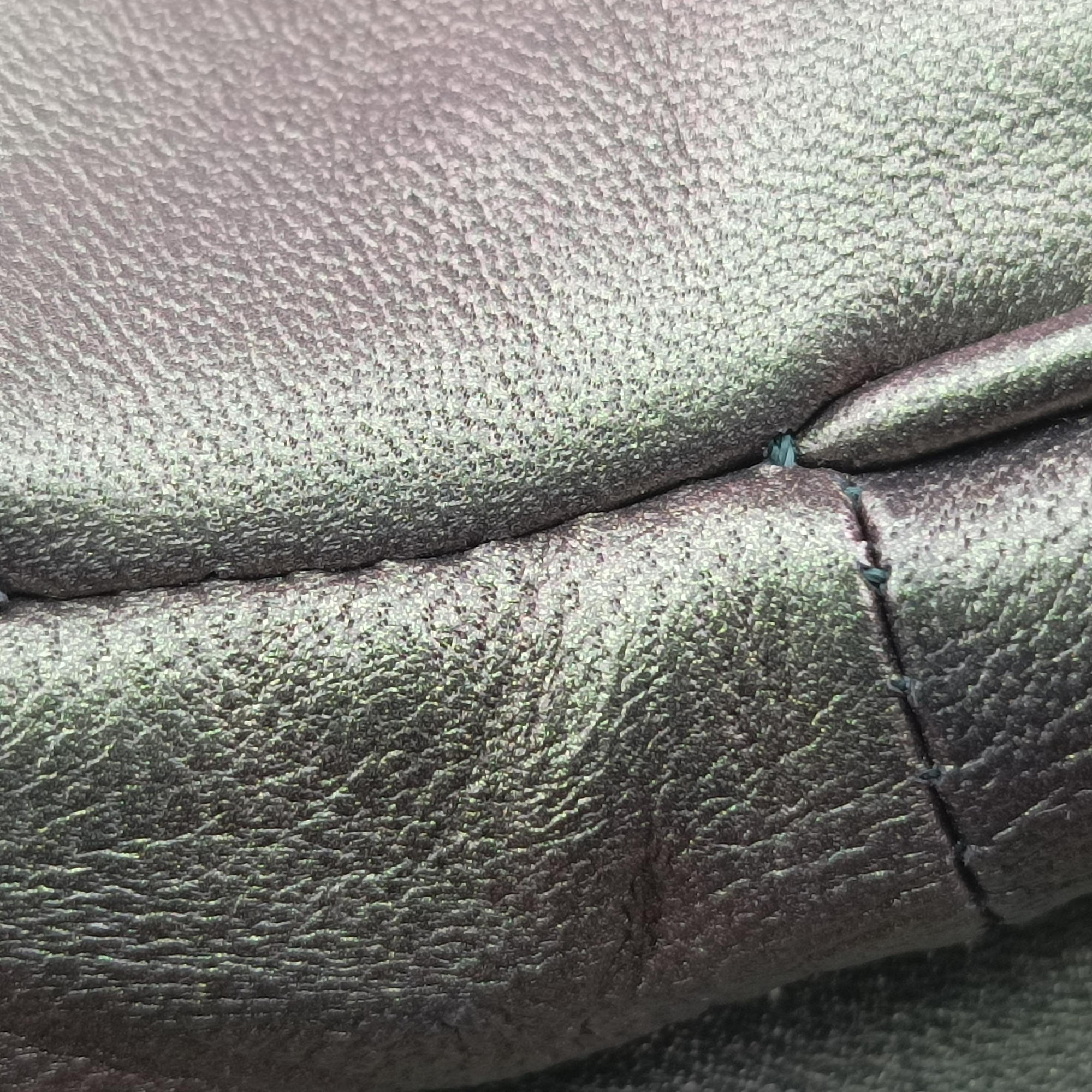 Pre-owned Bottega Veneta Iridescent Scarabee Iridescent Multi Pocket Tote  Iridescent Green Leather  shoulderbag | stylenewstar