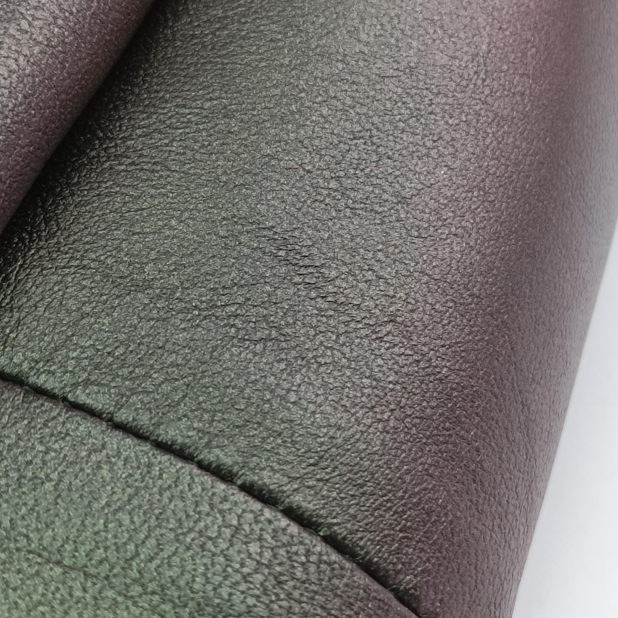 Pre-owned Bottega Veneta Iridescent Scarabee Iridescent Multi Pocket Tote  Iridescent Green Leather  shoulderbag | stylenewstar