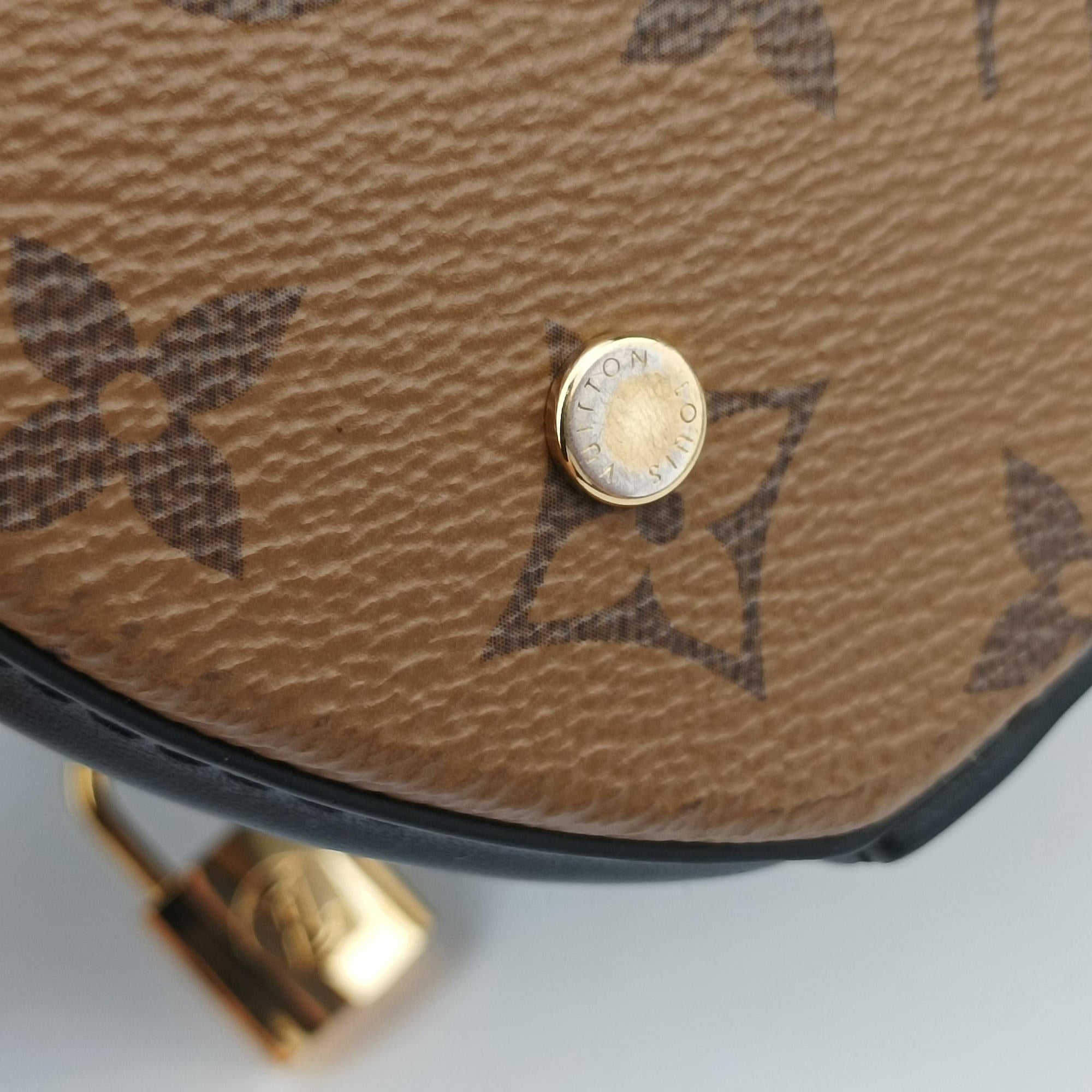 Pre-owned Louis Vuitton Cannes Brown × Black Monogram Reverse Giant M43986 shoulderbag | stylenewstar